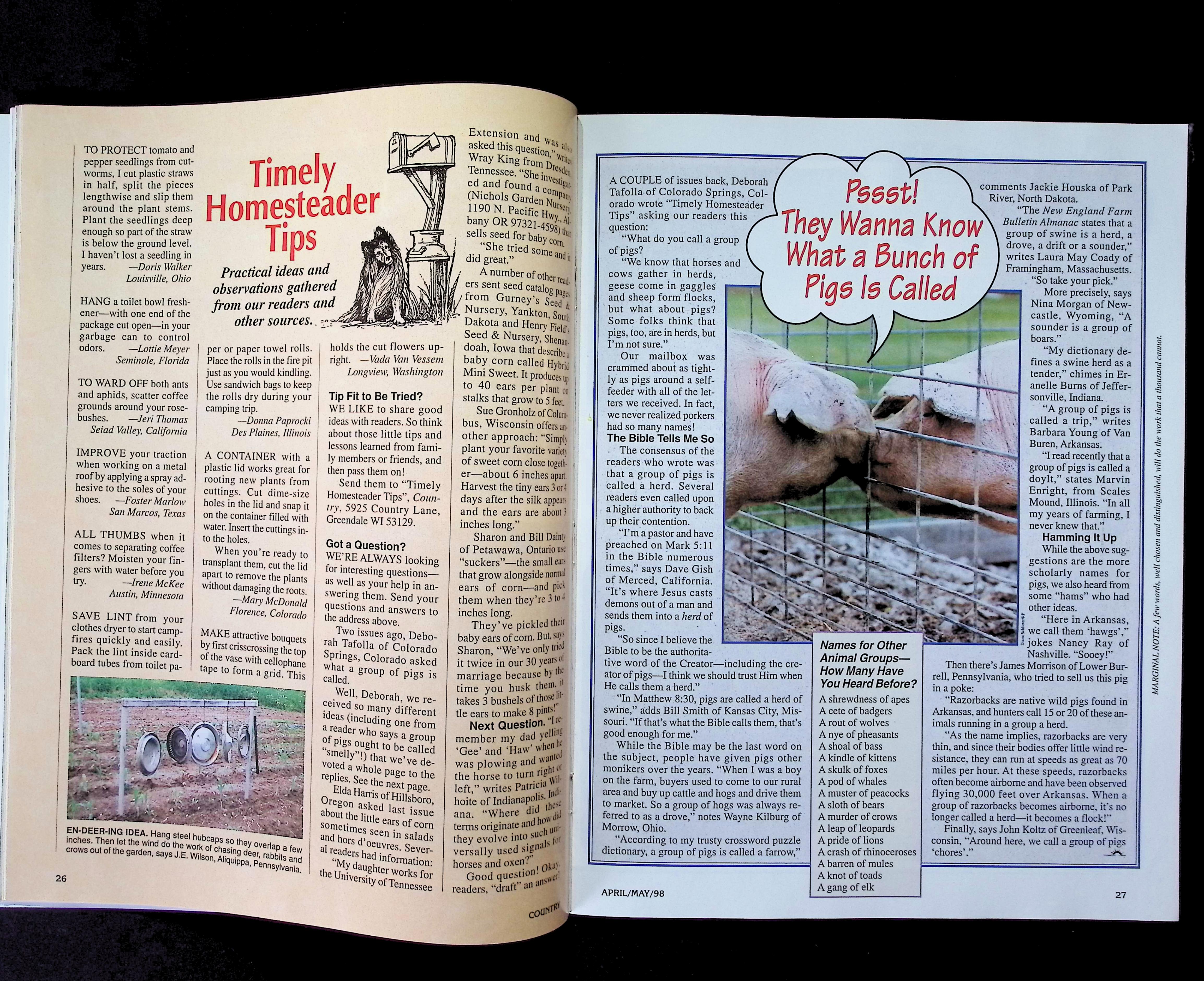 Country — image 4