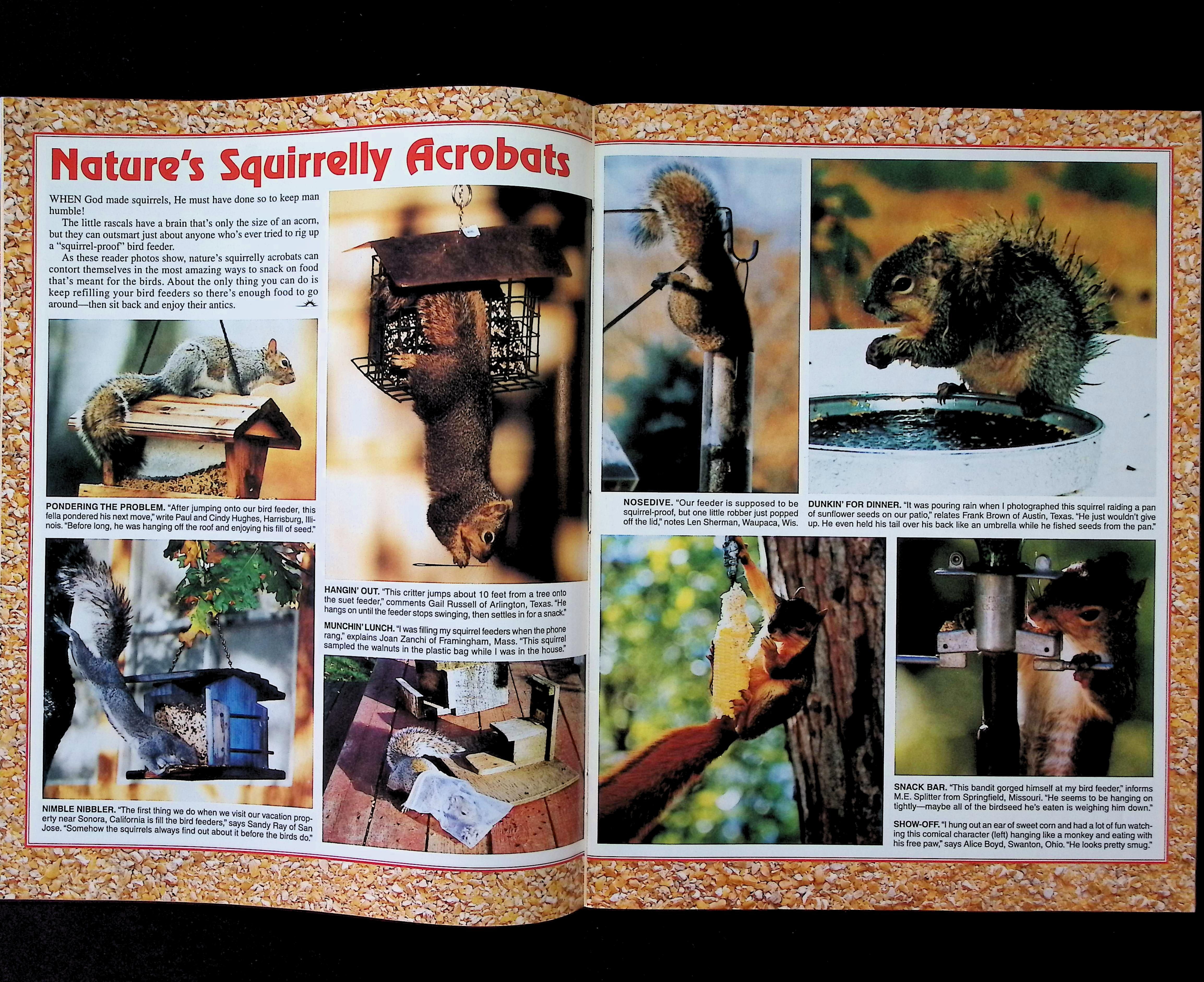 Country Extra — image 4