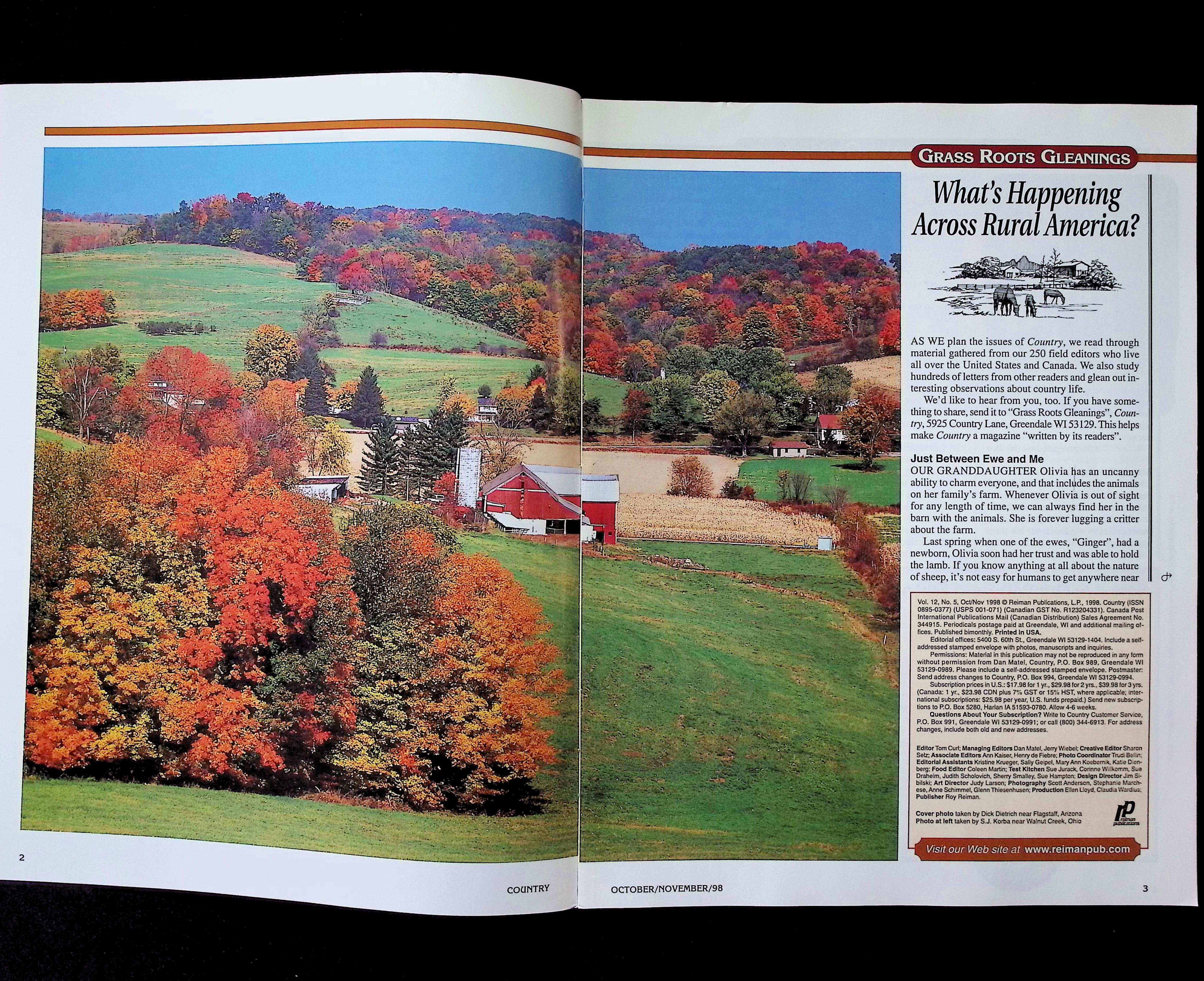 Country — image 2