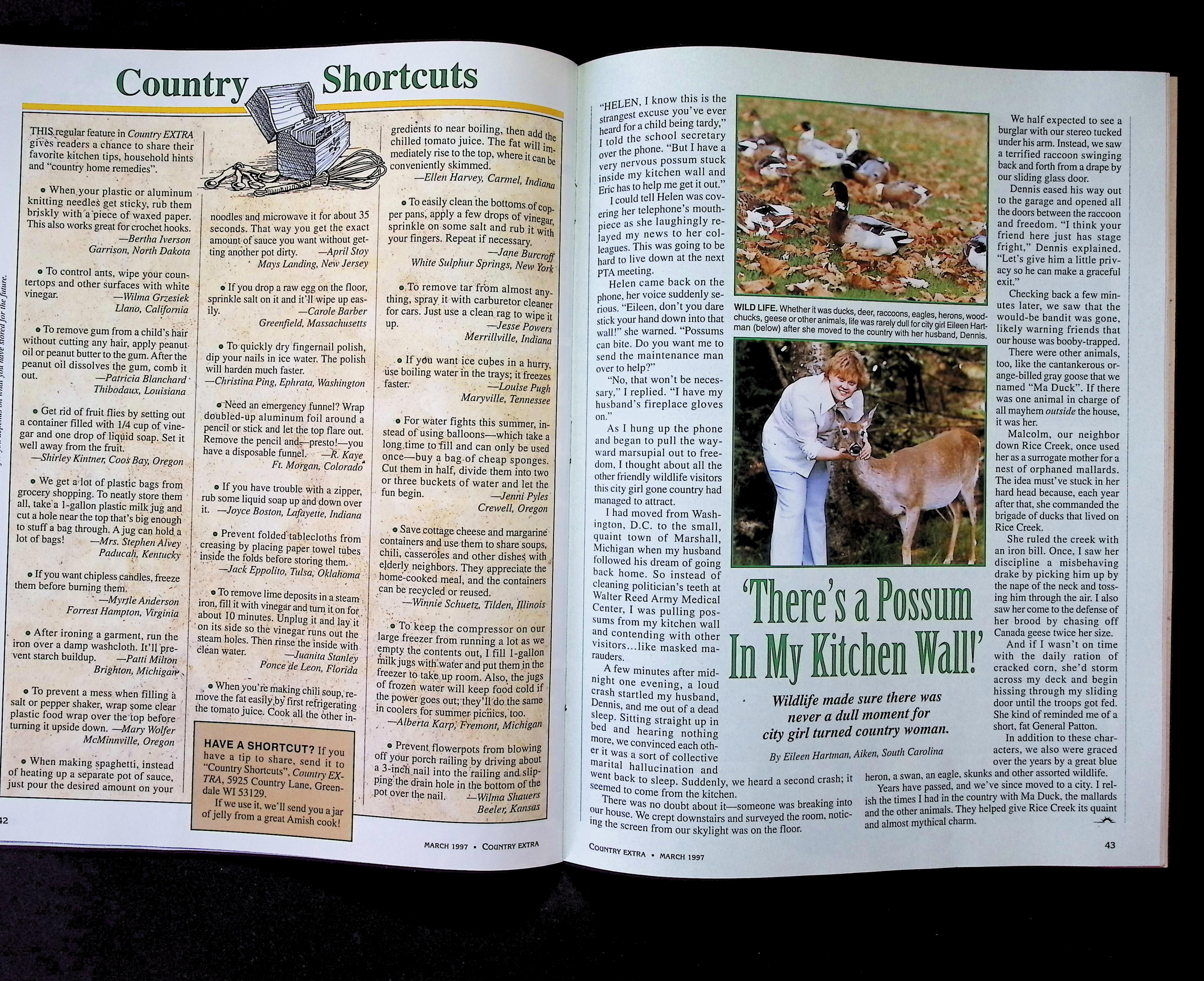 Country Extra — image 4
