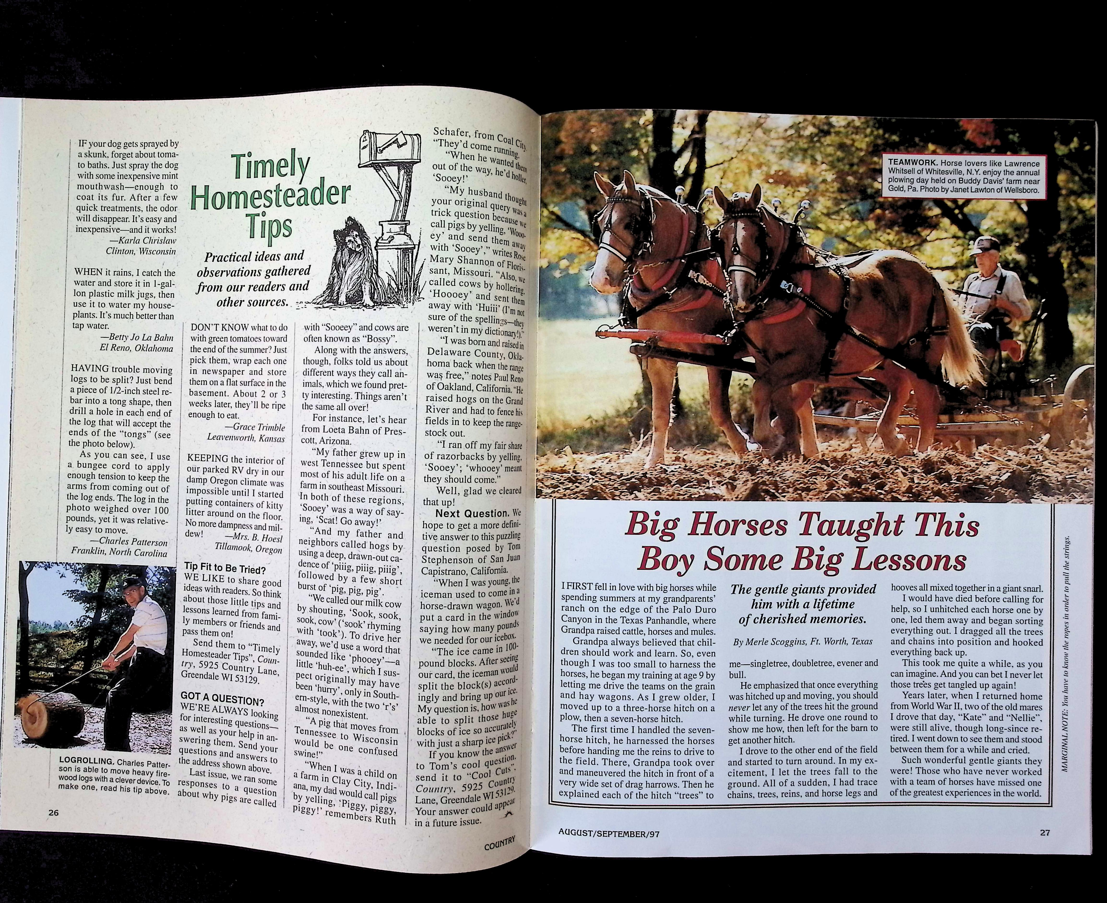 Country — image 3