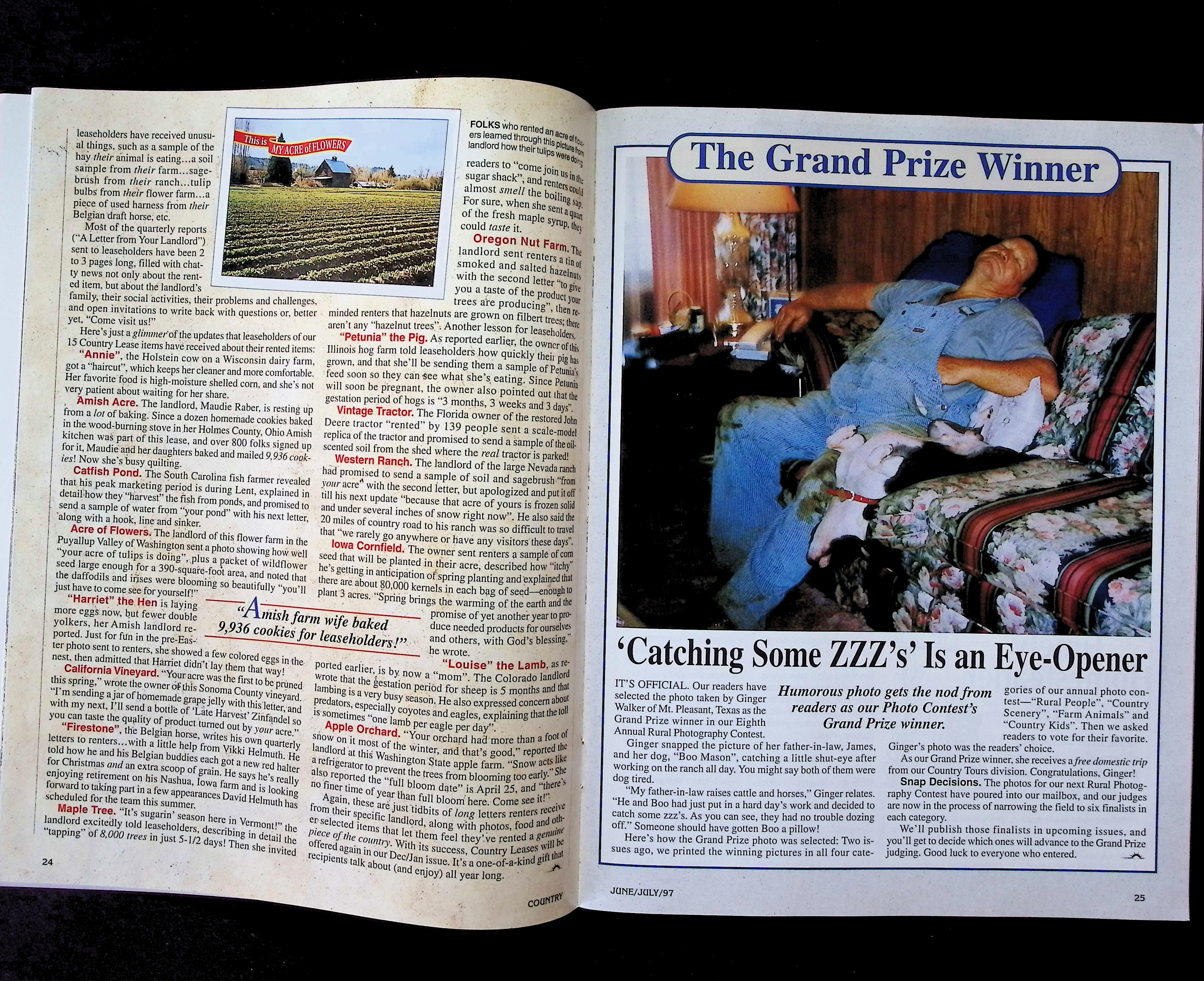 Country — image 3