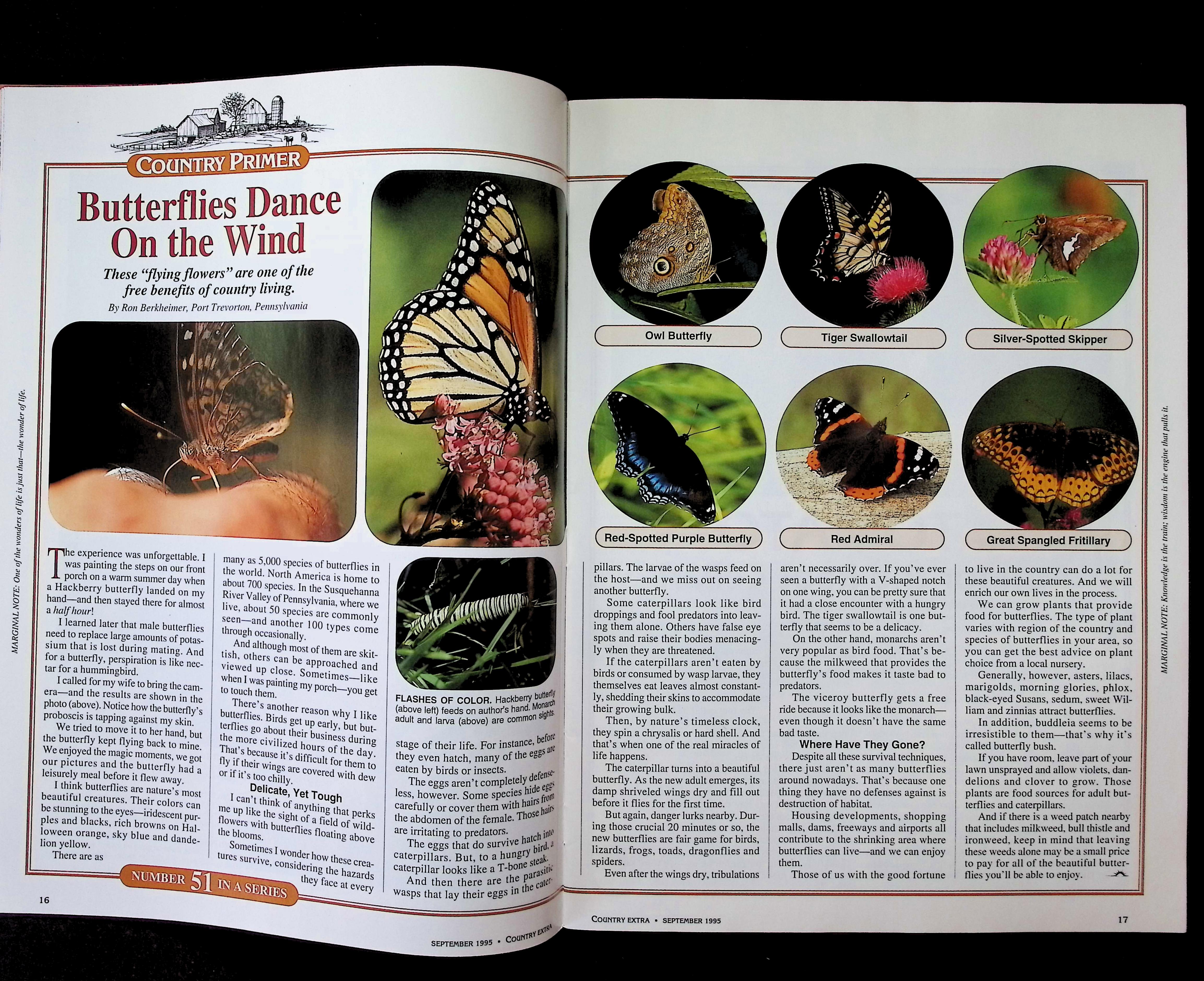 Country Extra — image 3