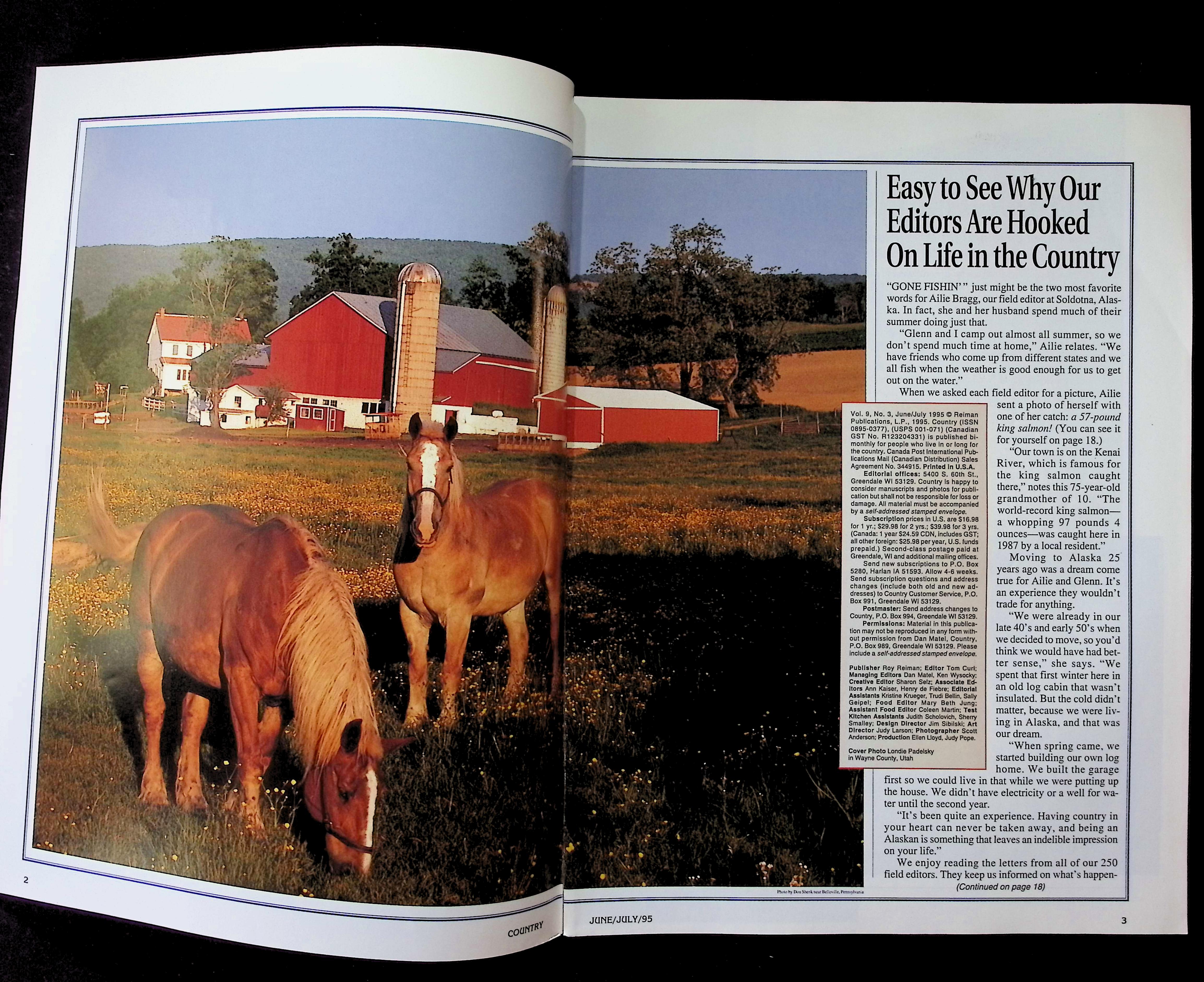 Country — image 2