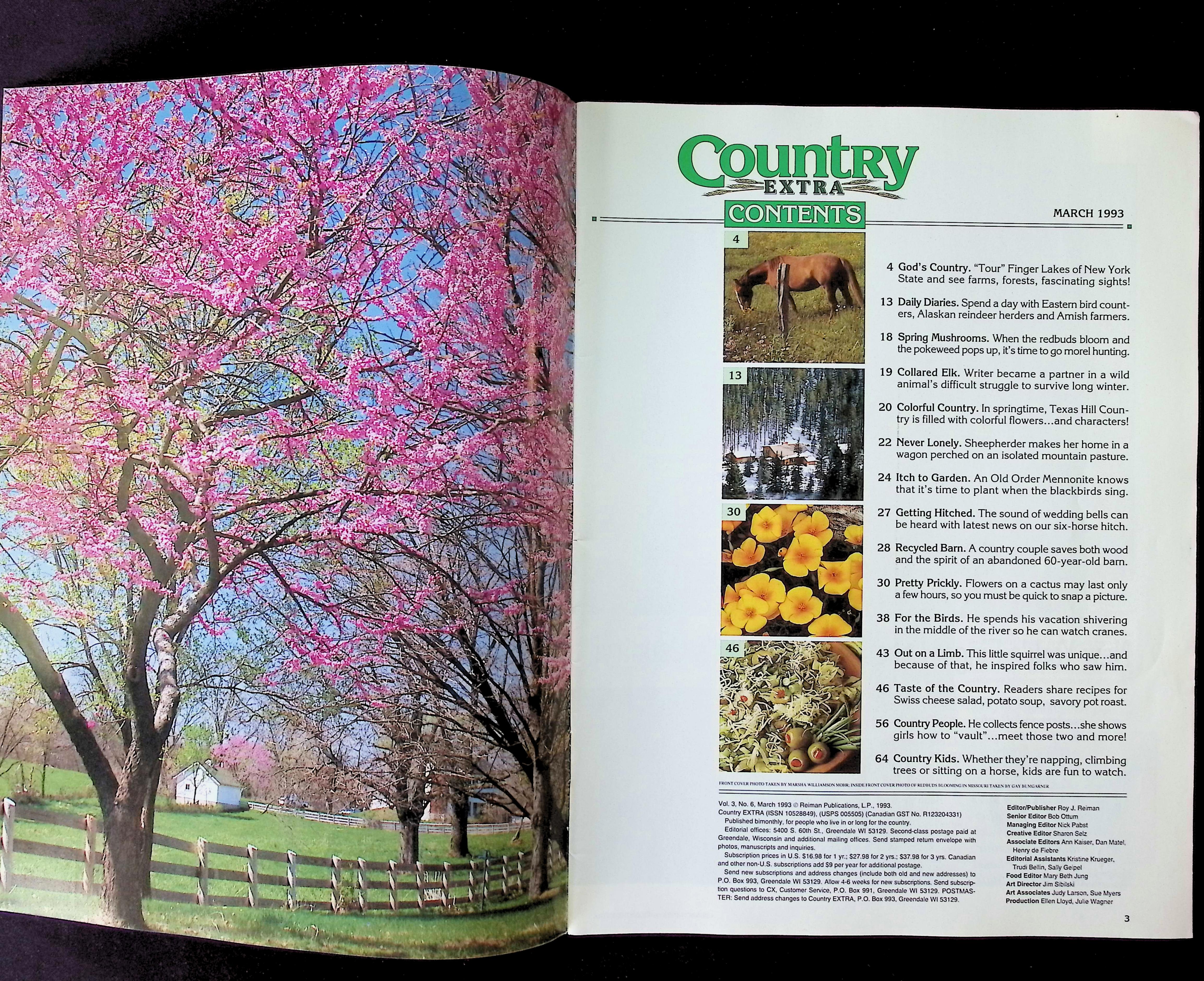 Country Extra — image 2