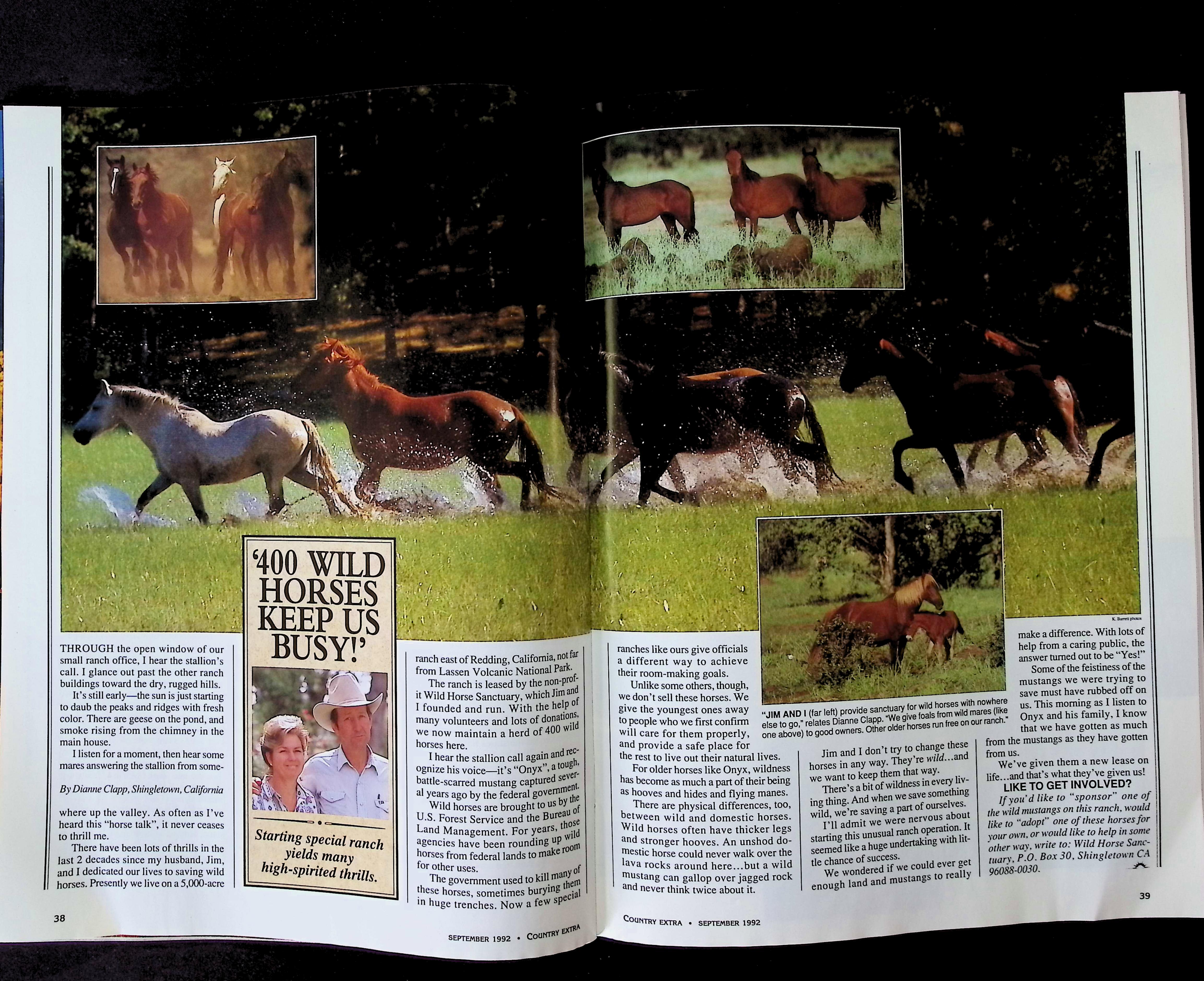 Country Extra — image 3