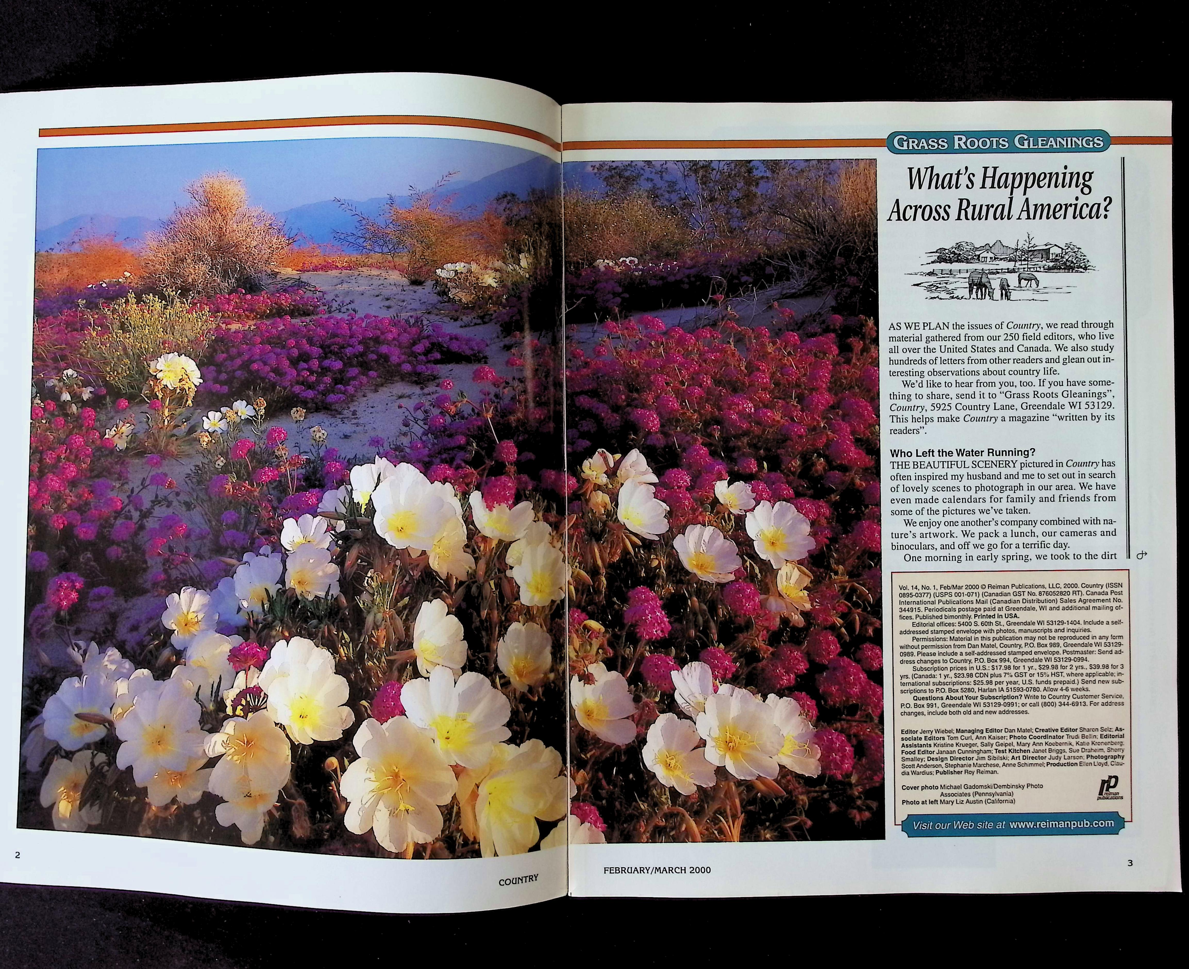 Country — image 2