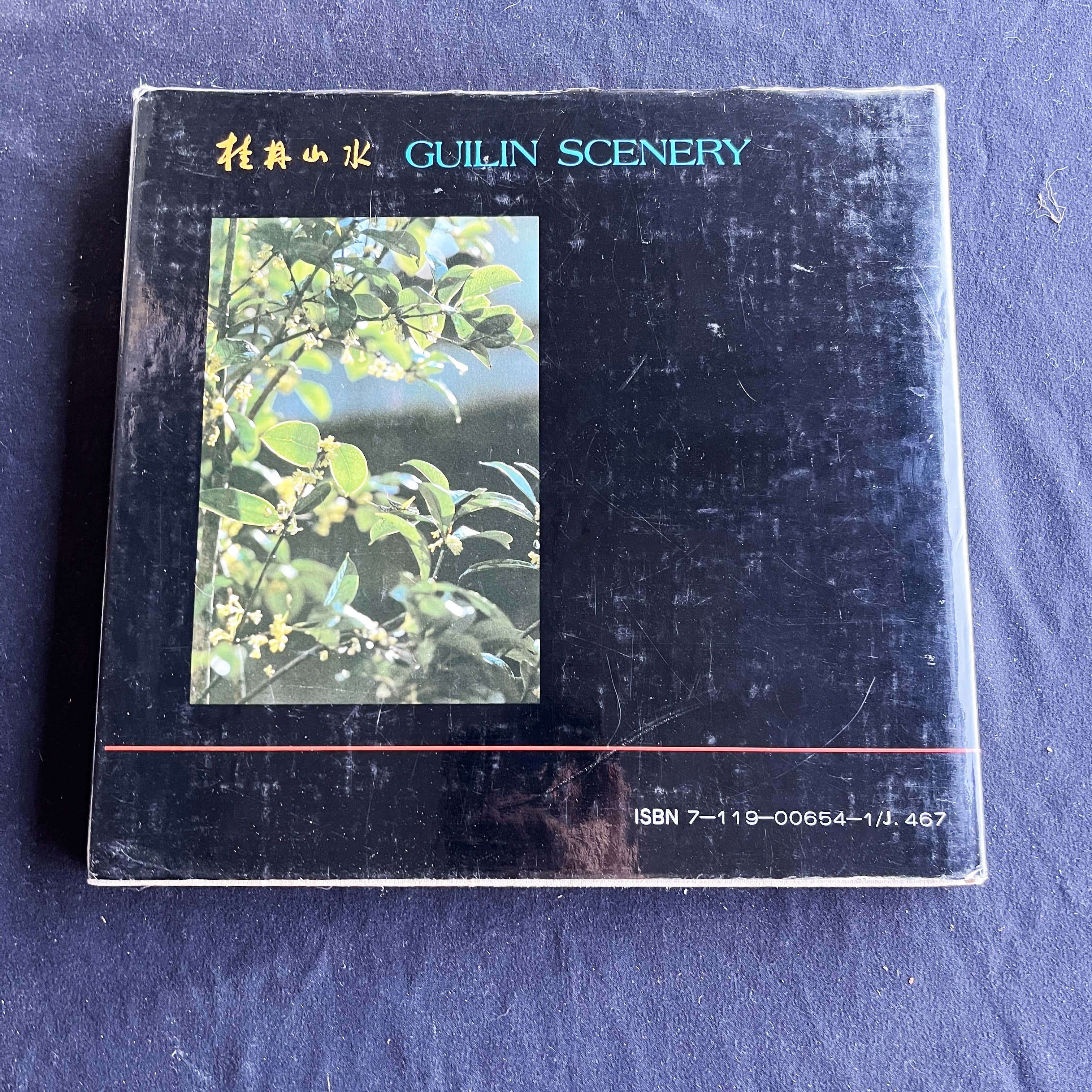 桂林山水 / Guilin Scenery: 王梧生摄影集 / Photo Collection by Wang Wusheng — image 5