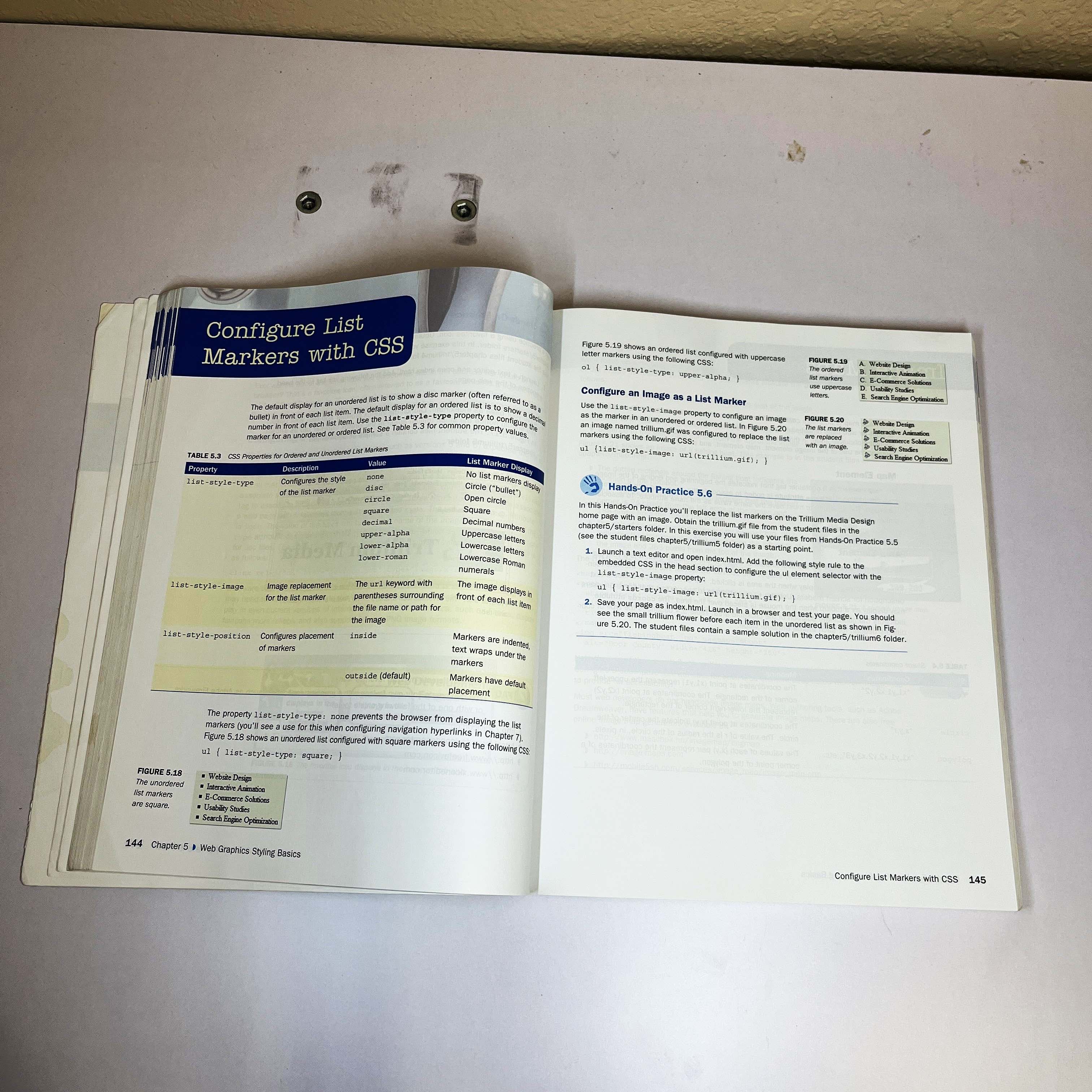 Basics of Web Design — image 4