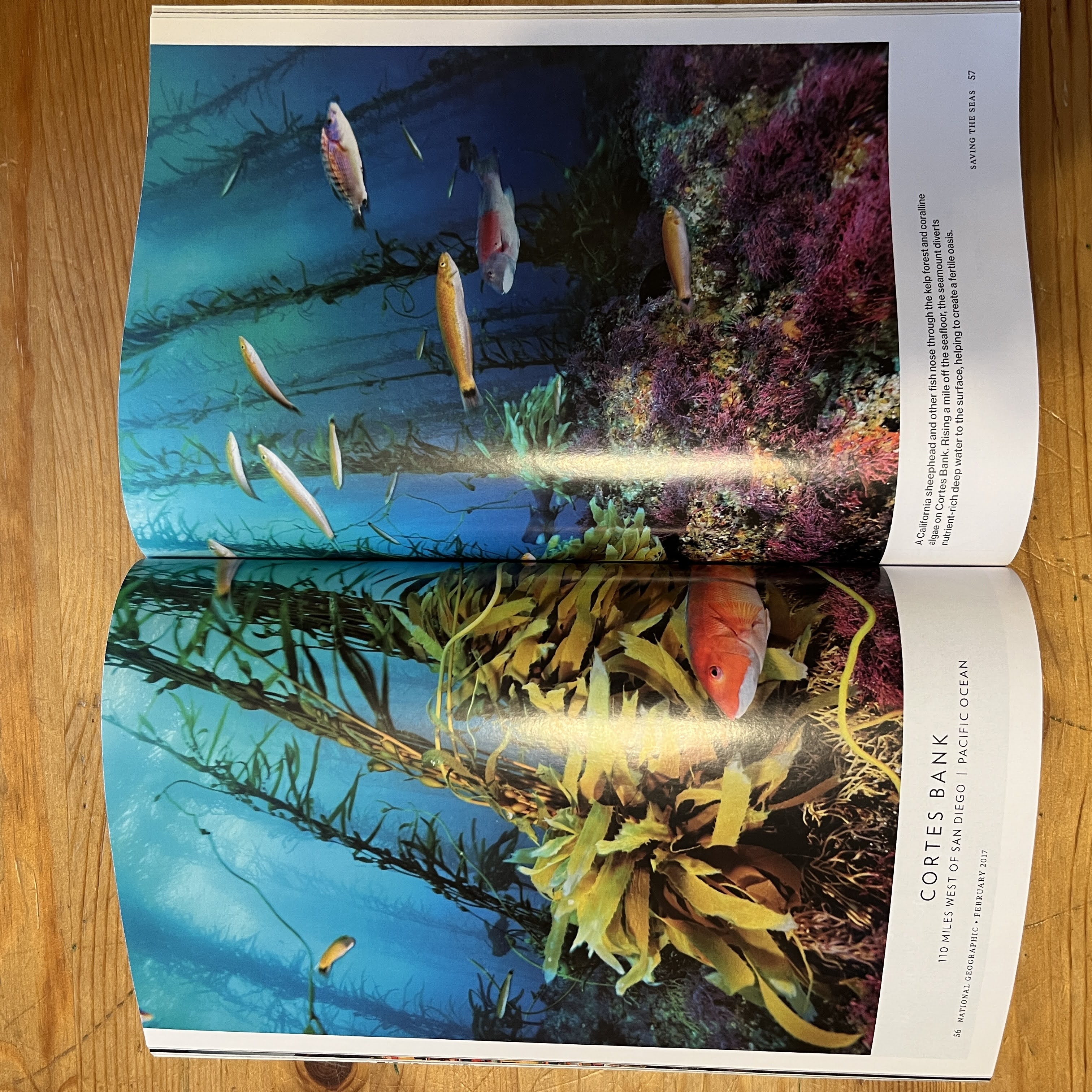 Magazine, February 2017 - Saving Our Oceans — image 2