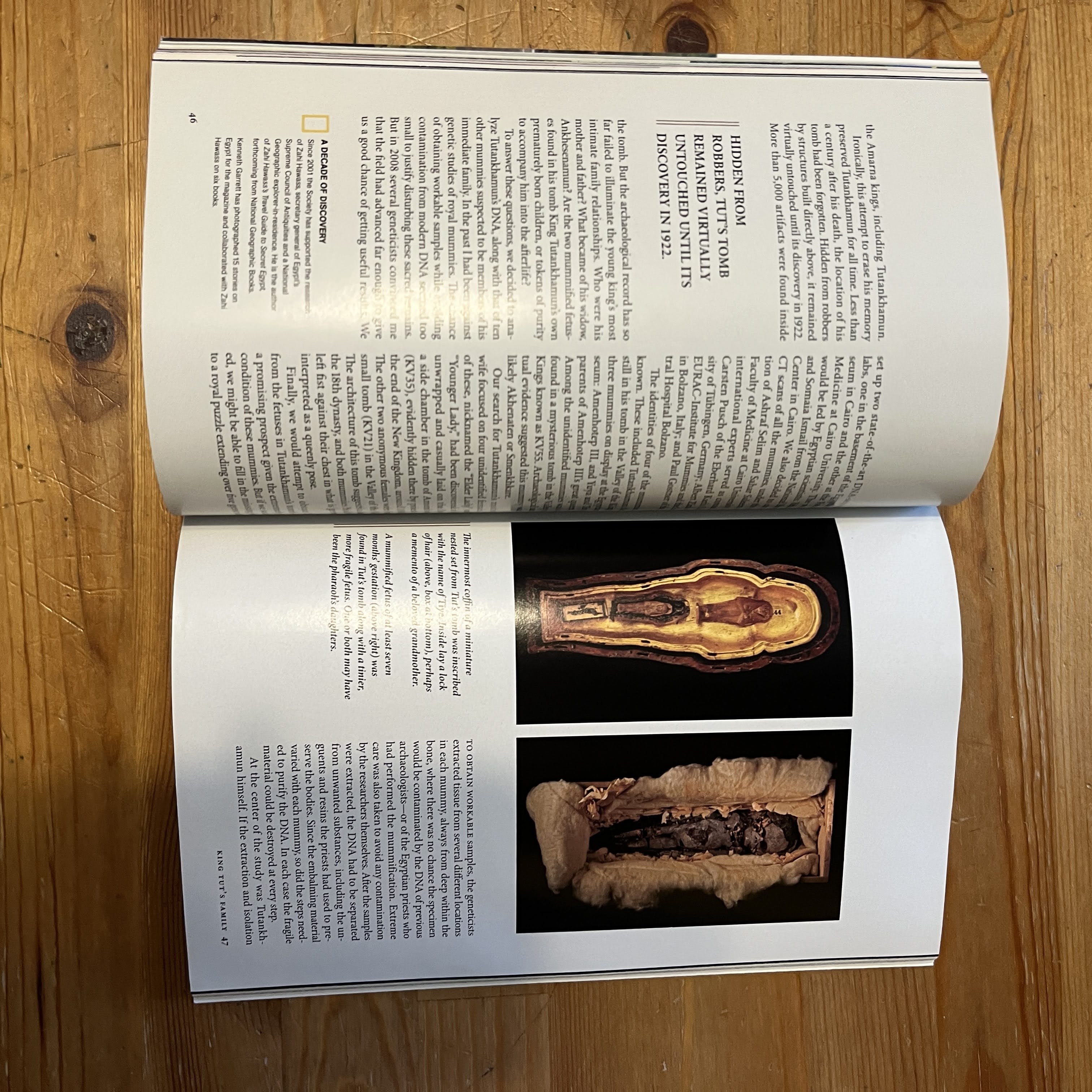 September 2010 - King Tut's DNA — image 2