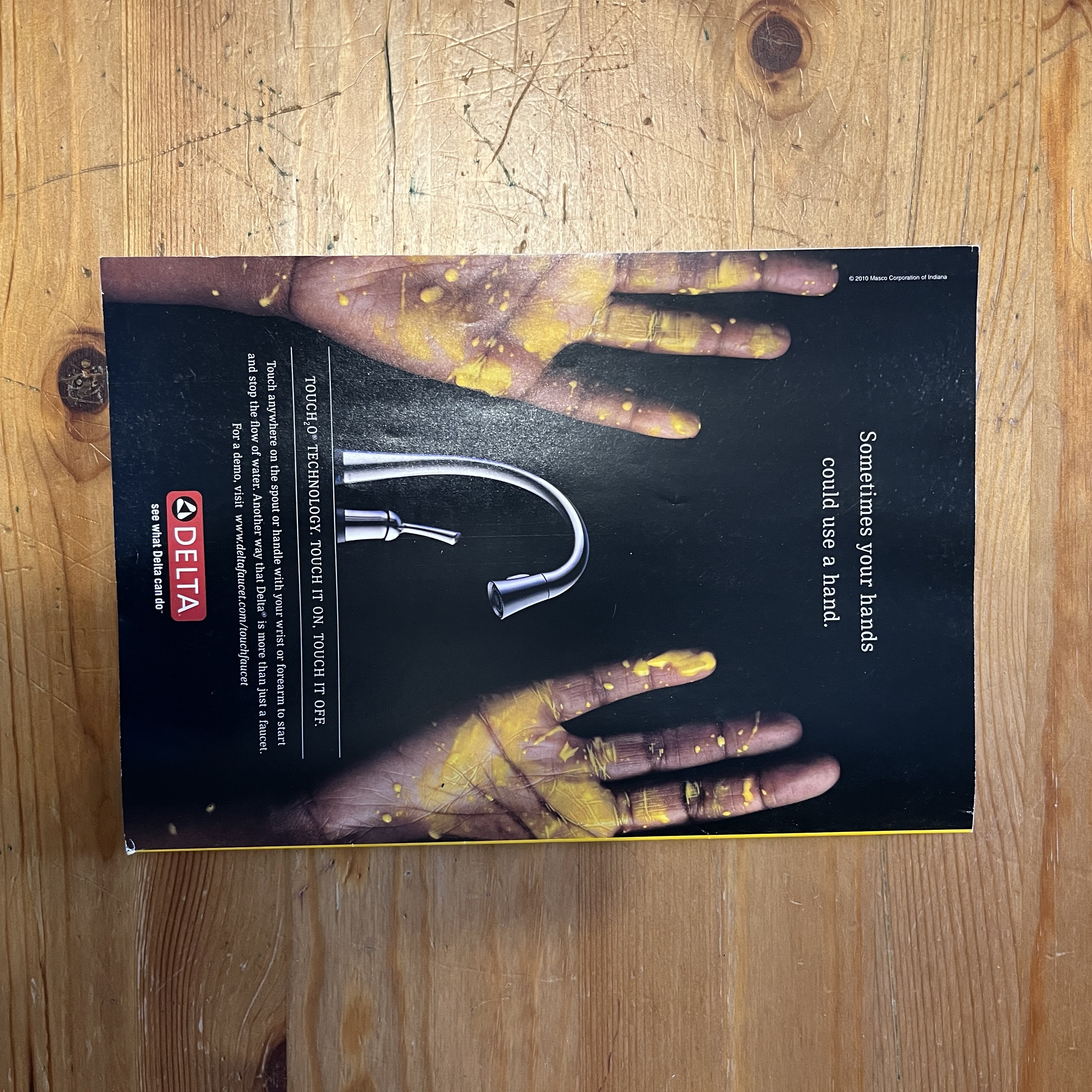 July 2010 - 4 Million Year Old Woman, Ardipithecus Ramidus — image 5