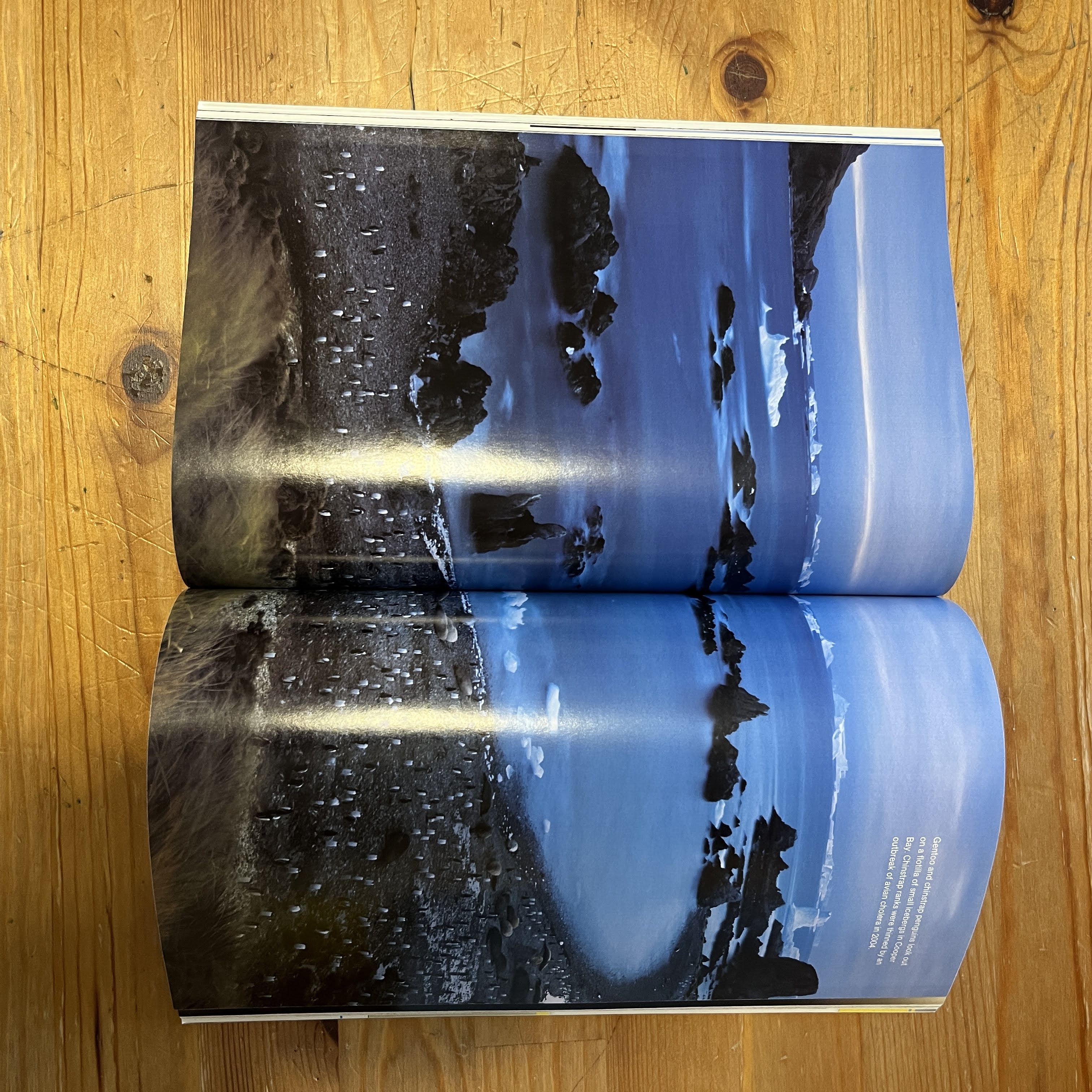 Magazine | December 2009 | Are We Alone? — image 2