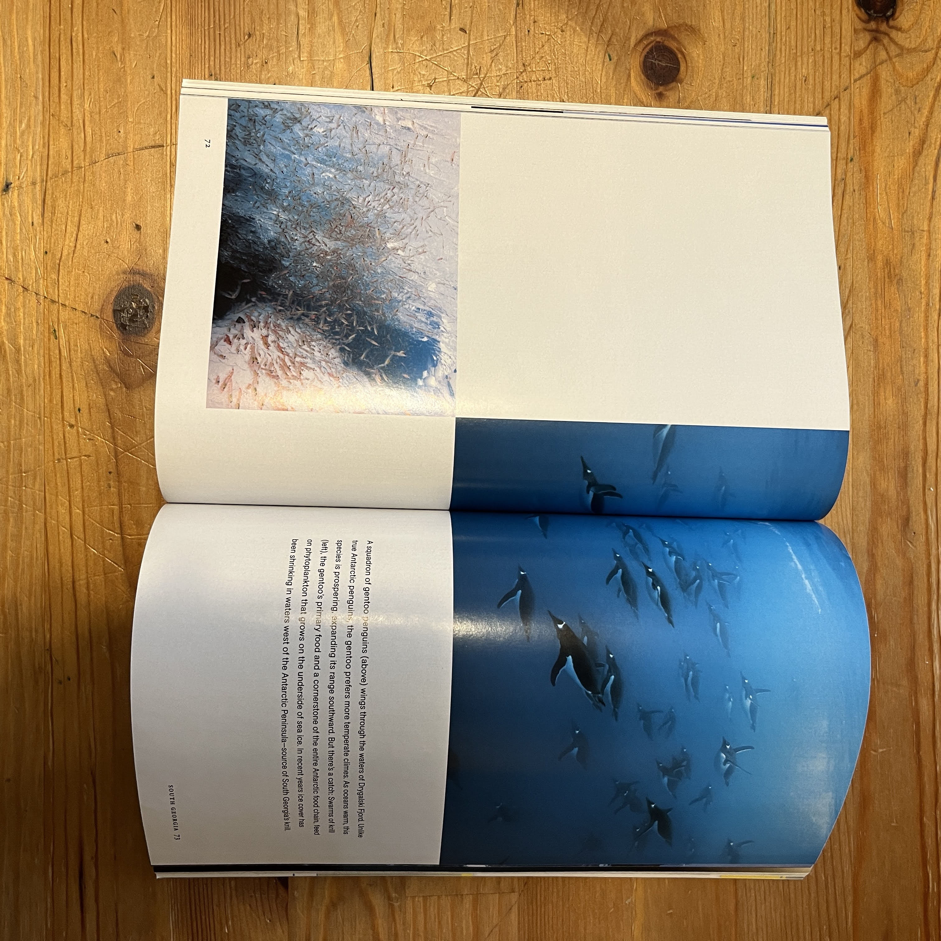 Magazine | December 2009 | Are We Alone? — image 3