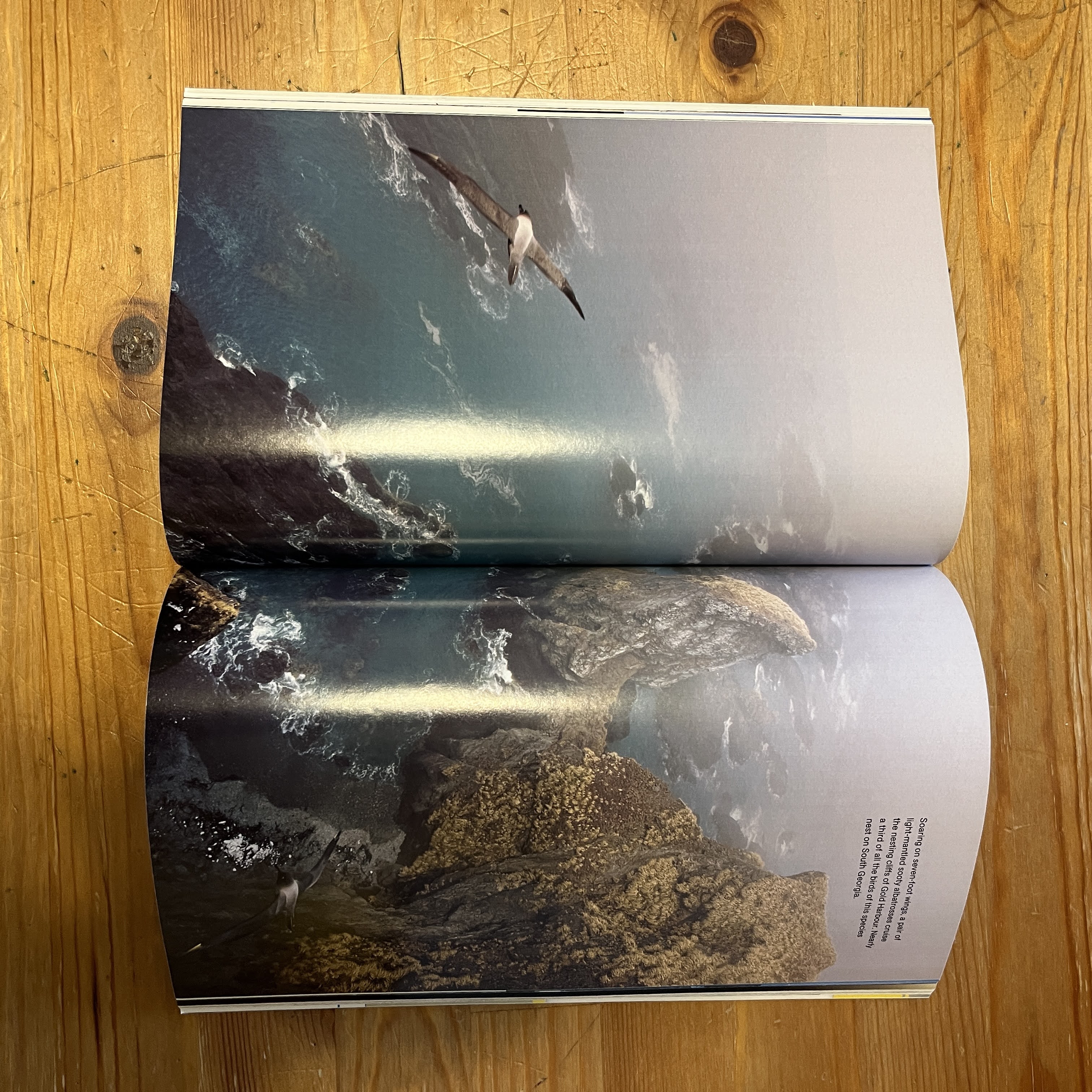 Magazine | December 2009 | Are We Alone? — image 4