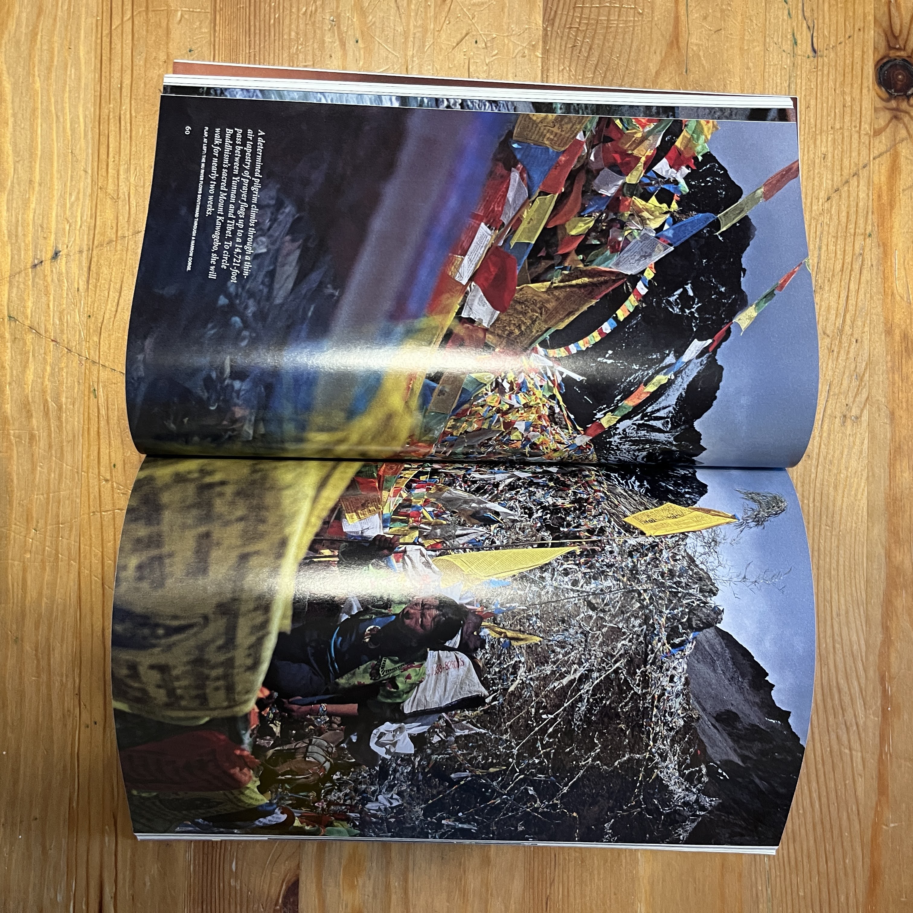 Magazine, May 2009 | Ice Baby: Secrets of a Frozen Mammoth — image 2