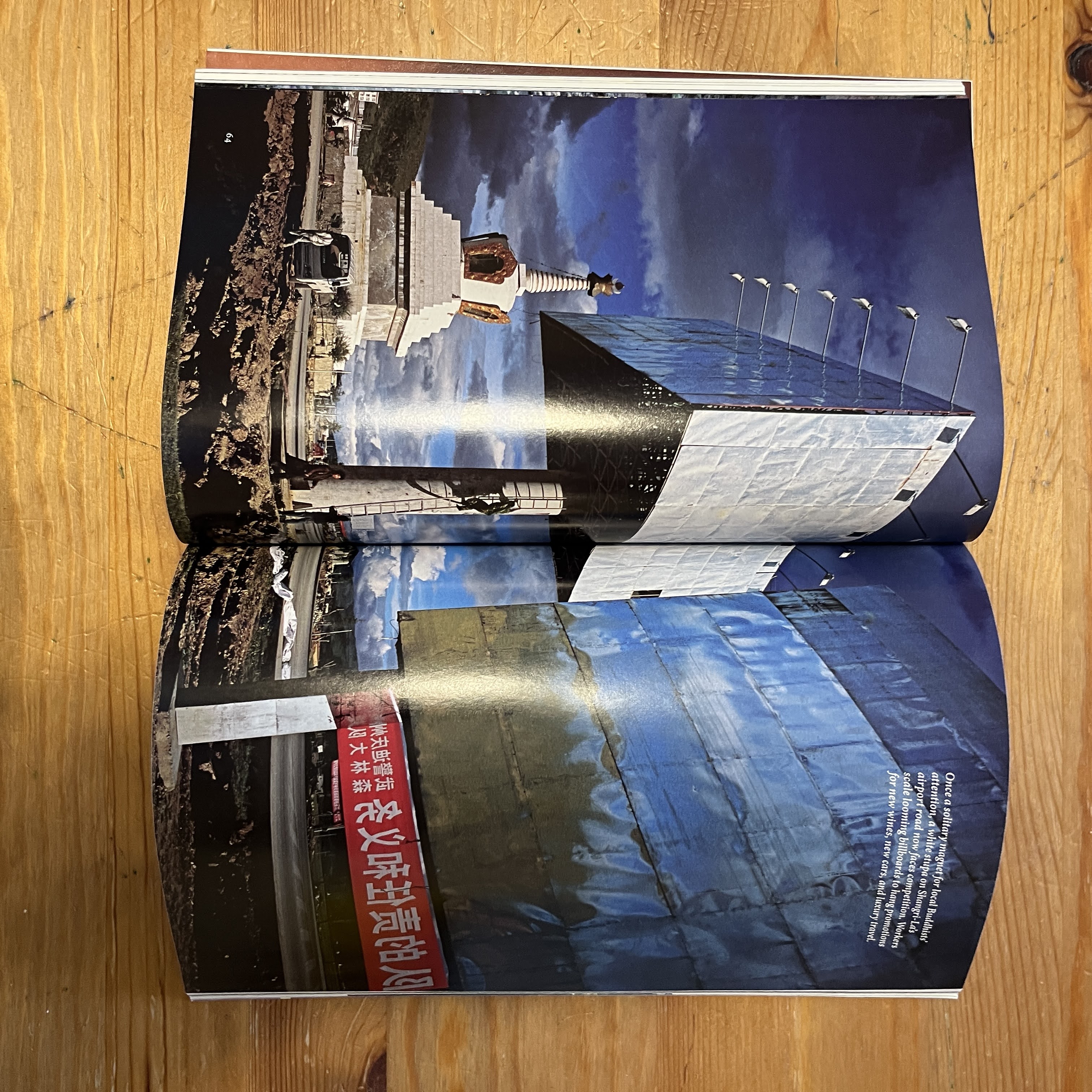 Magazine, May 2009 | Ice Baby: Secrets of a Frozen Mammoth — image 4