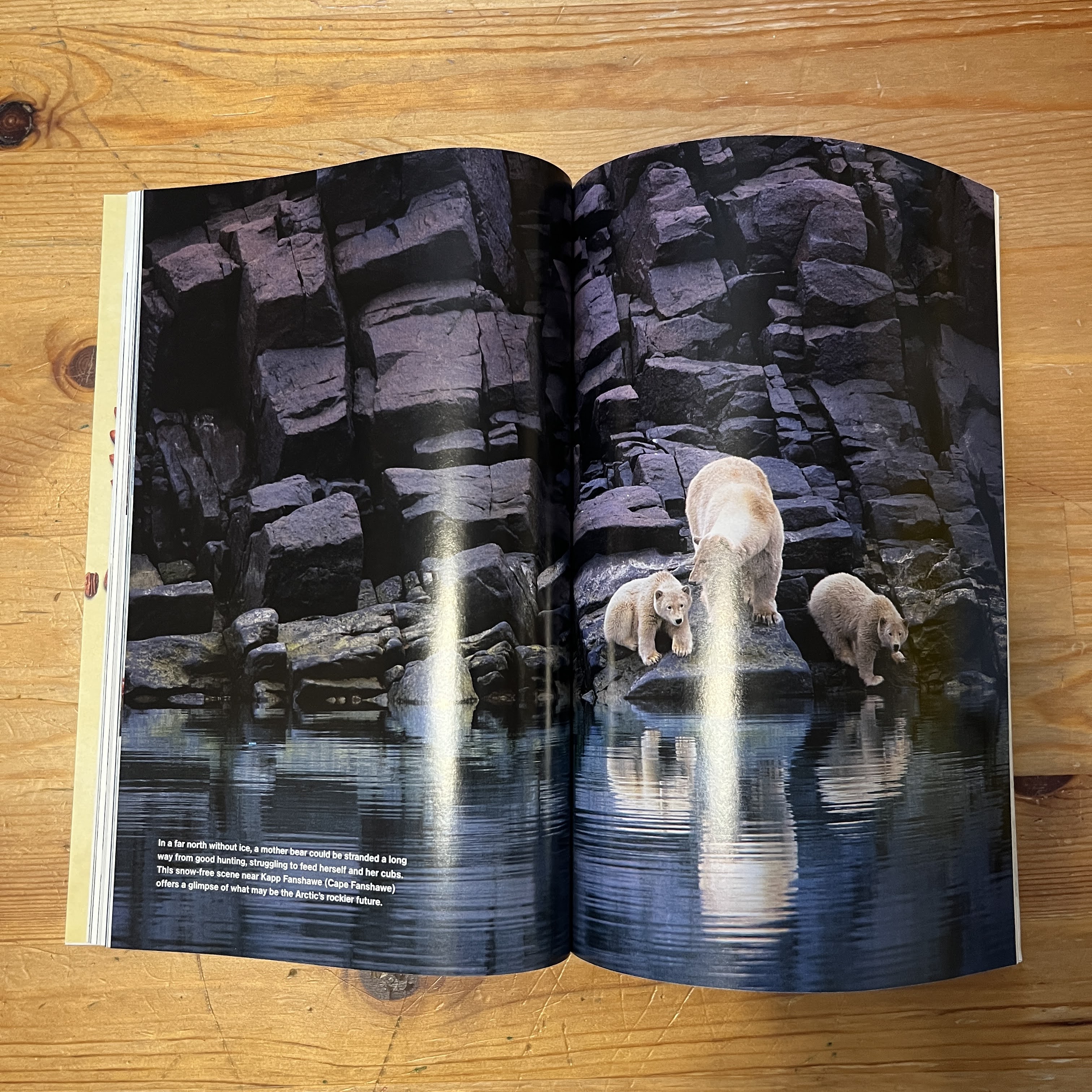 Magazine | April 2009 | The She-King of Egypt — image 3