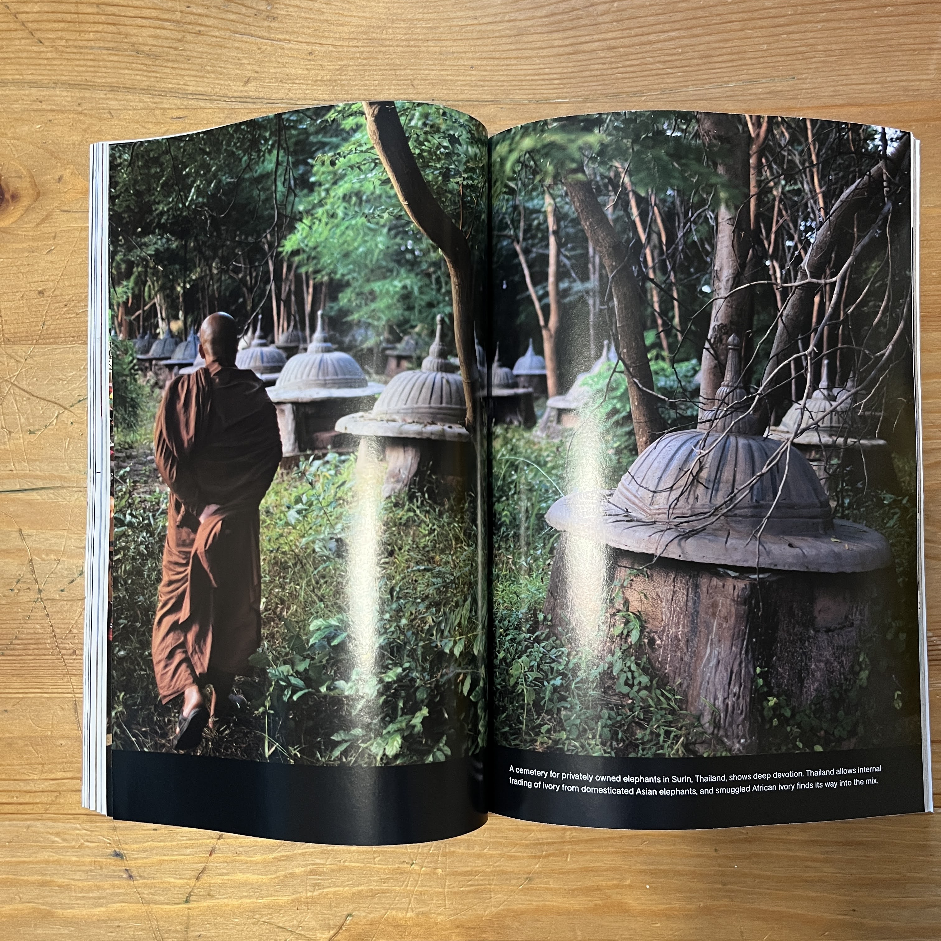 October 2012 - Blood Ivory Investigative Report — image 3