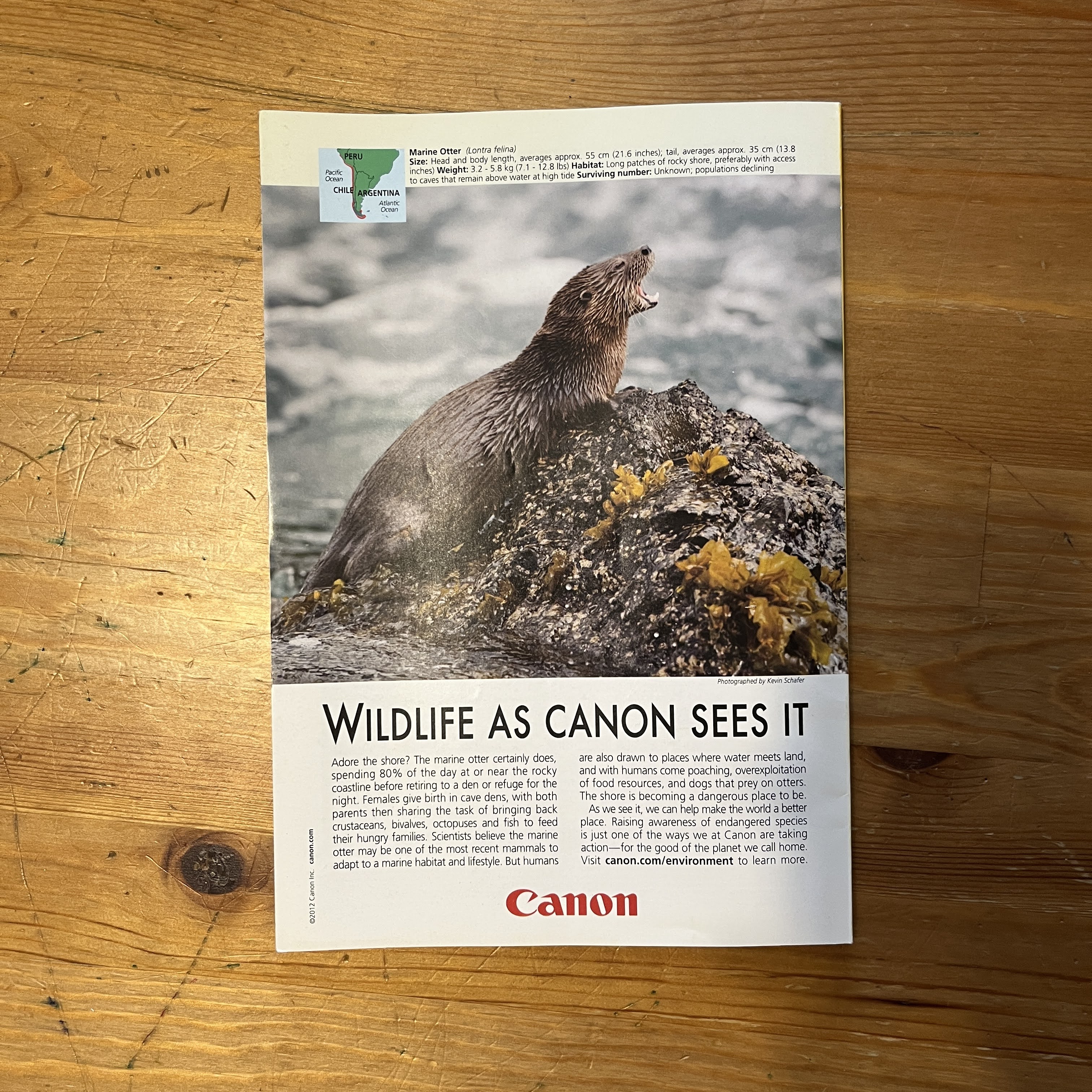 August 2012 - In the Spirit of Crazy Horse — image 5