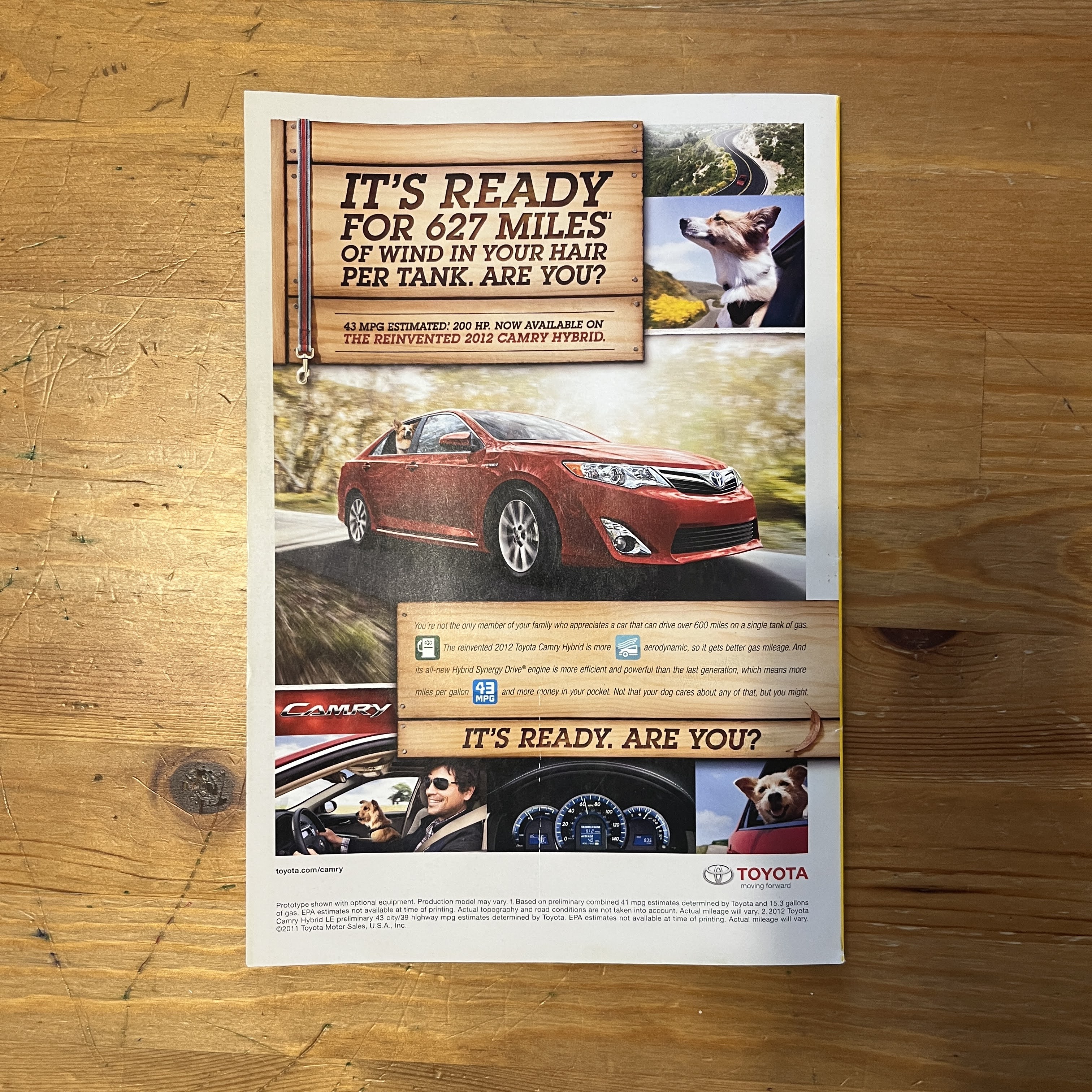 March 2012 - The Journey of the Apostles — image 5