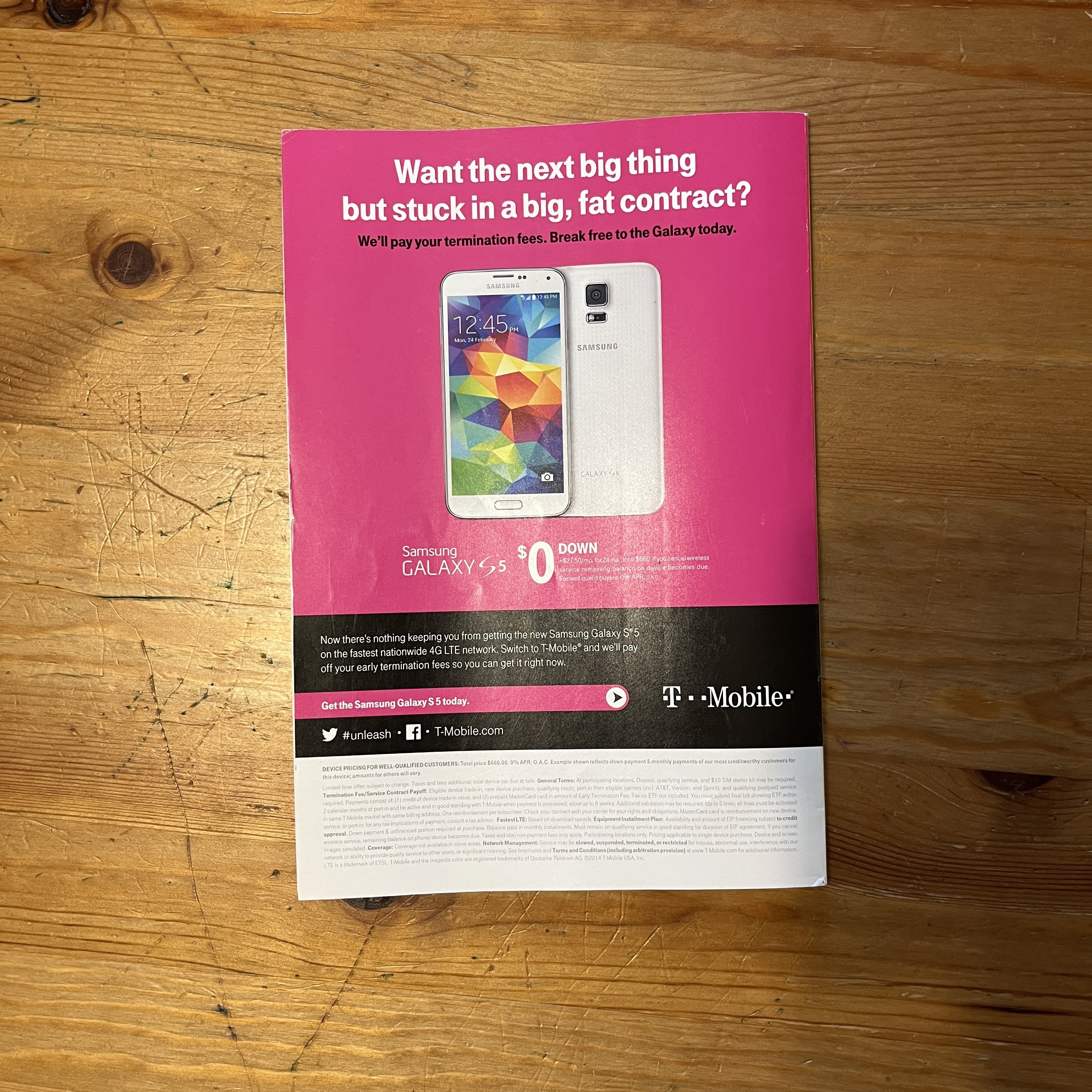 June 2014 - Hero Dogs — image 5