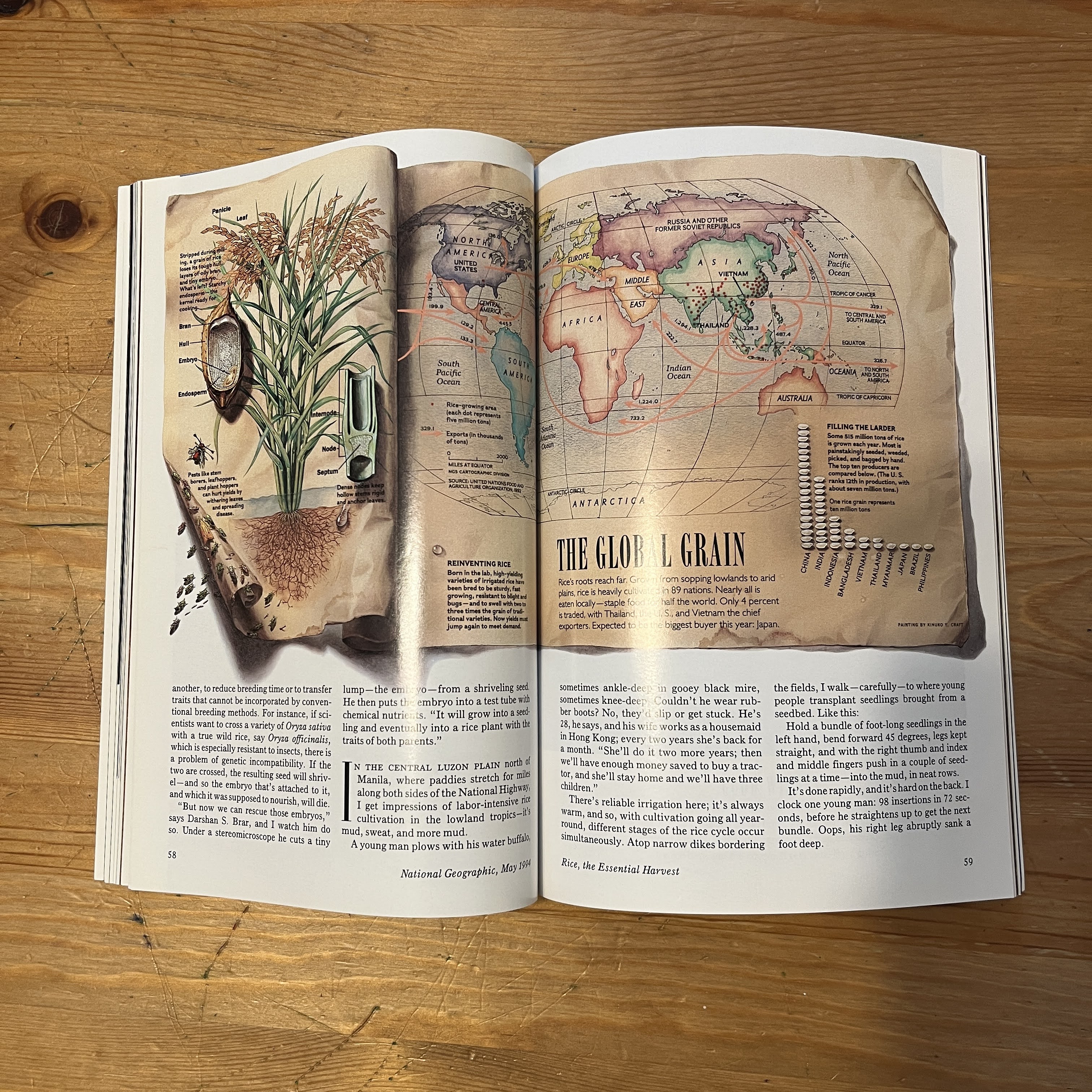 Magazine - May 1994 | Turkey & The Whirling Dervishes — image 4