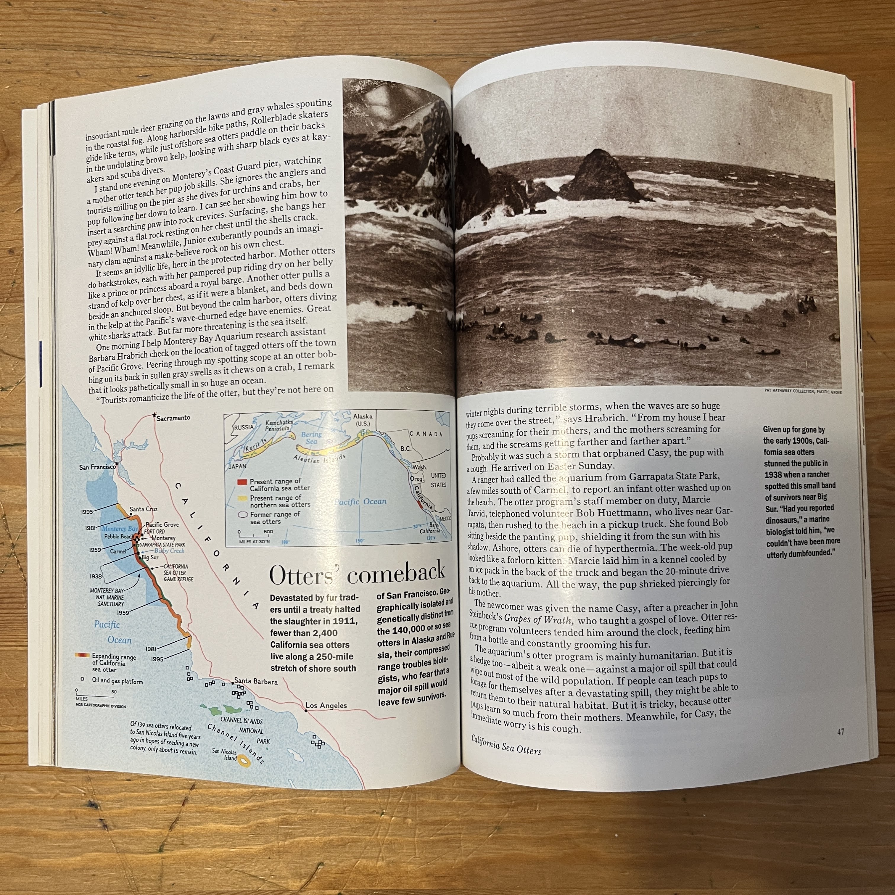 Magazine, June 1995 | Quiet Miracles of the Brain — image 3