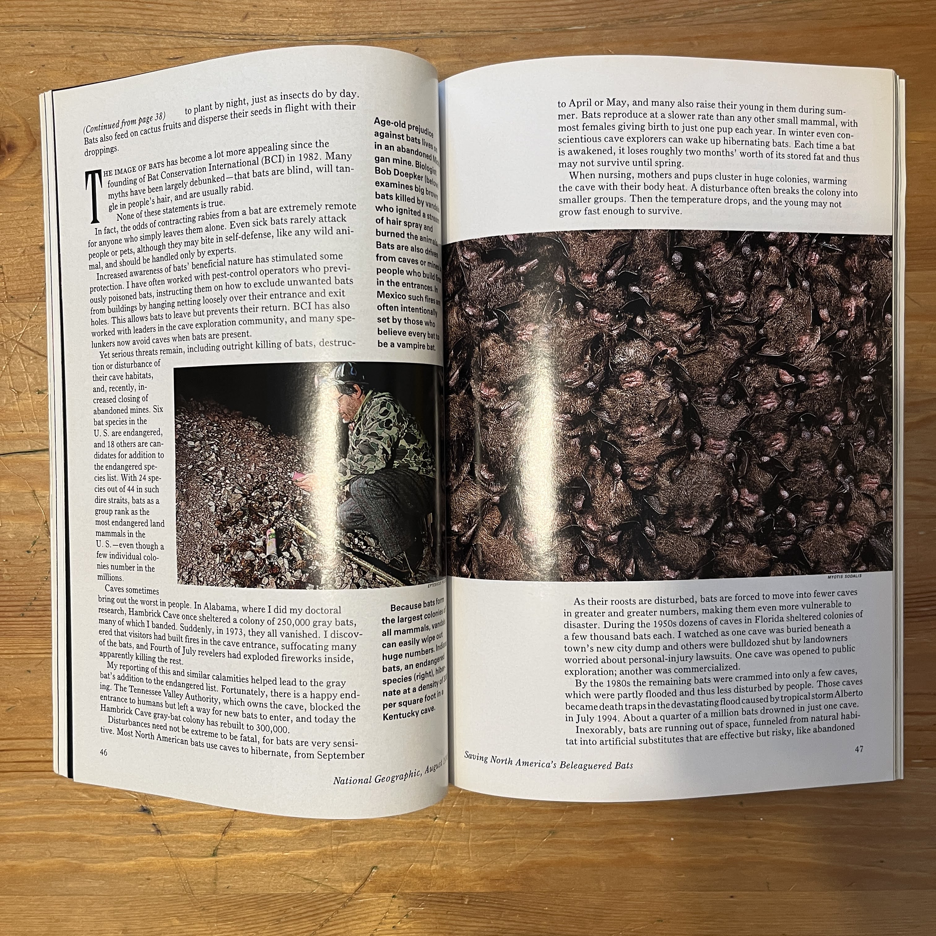 August 1995 - Sicily — image 3