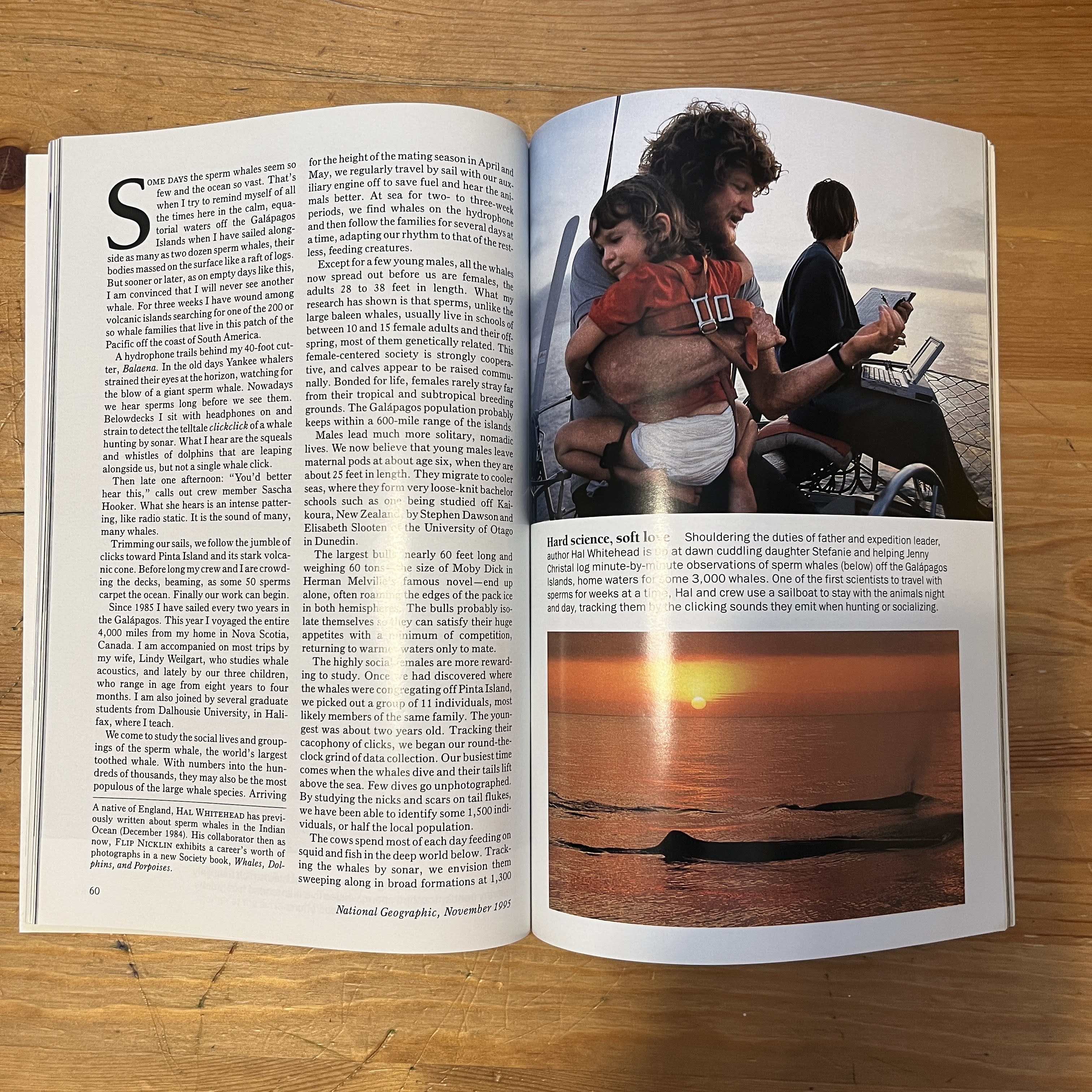 November 1995 -Exploiting the Ocean's Bounty — image 2