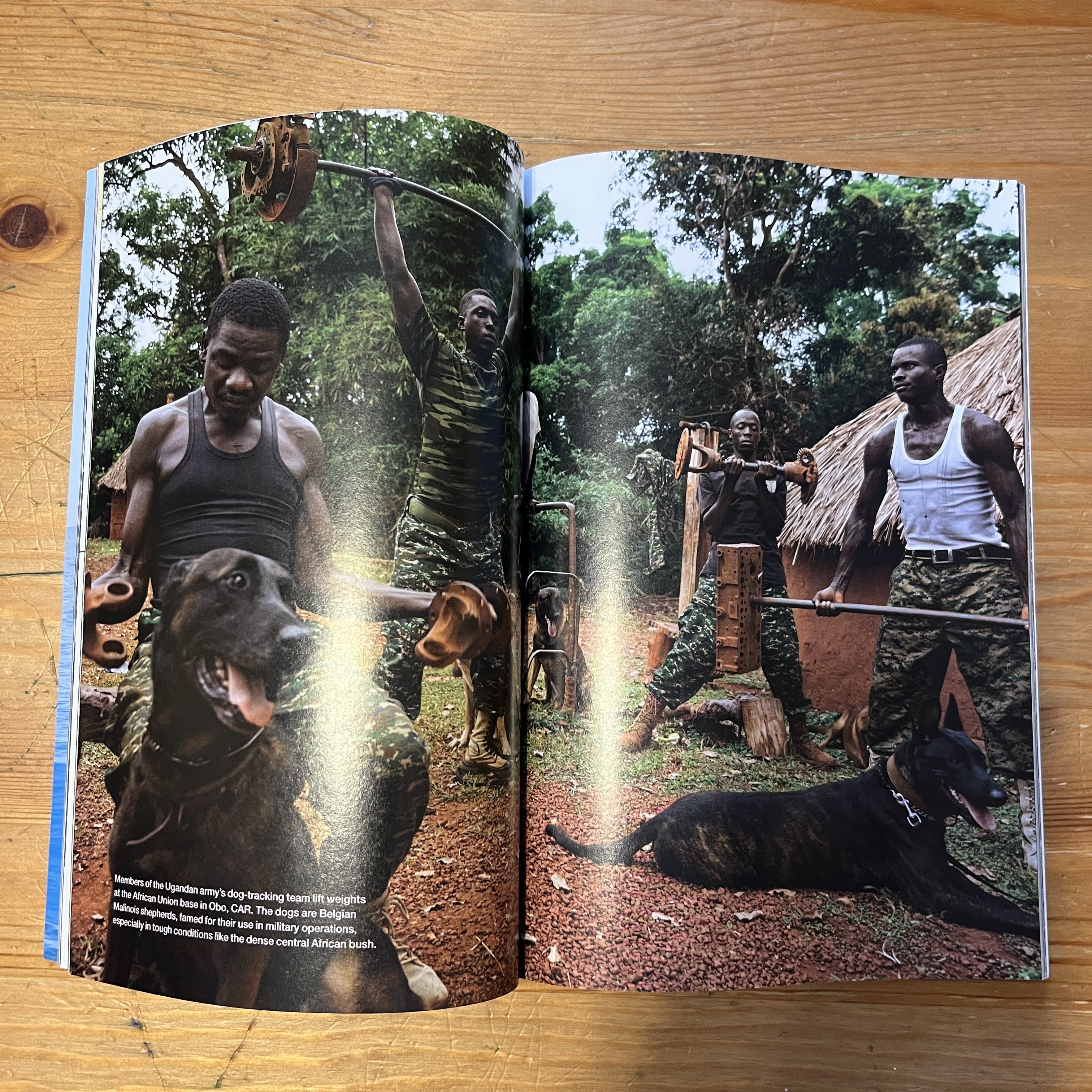 Magazine | September 2015 | Warlords of Ivory — image 4