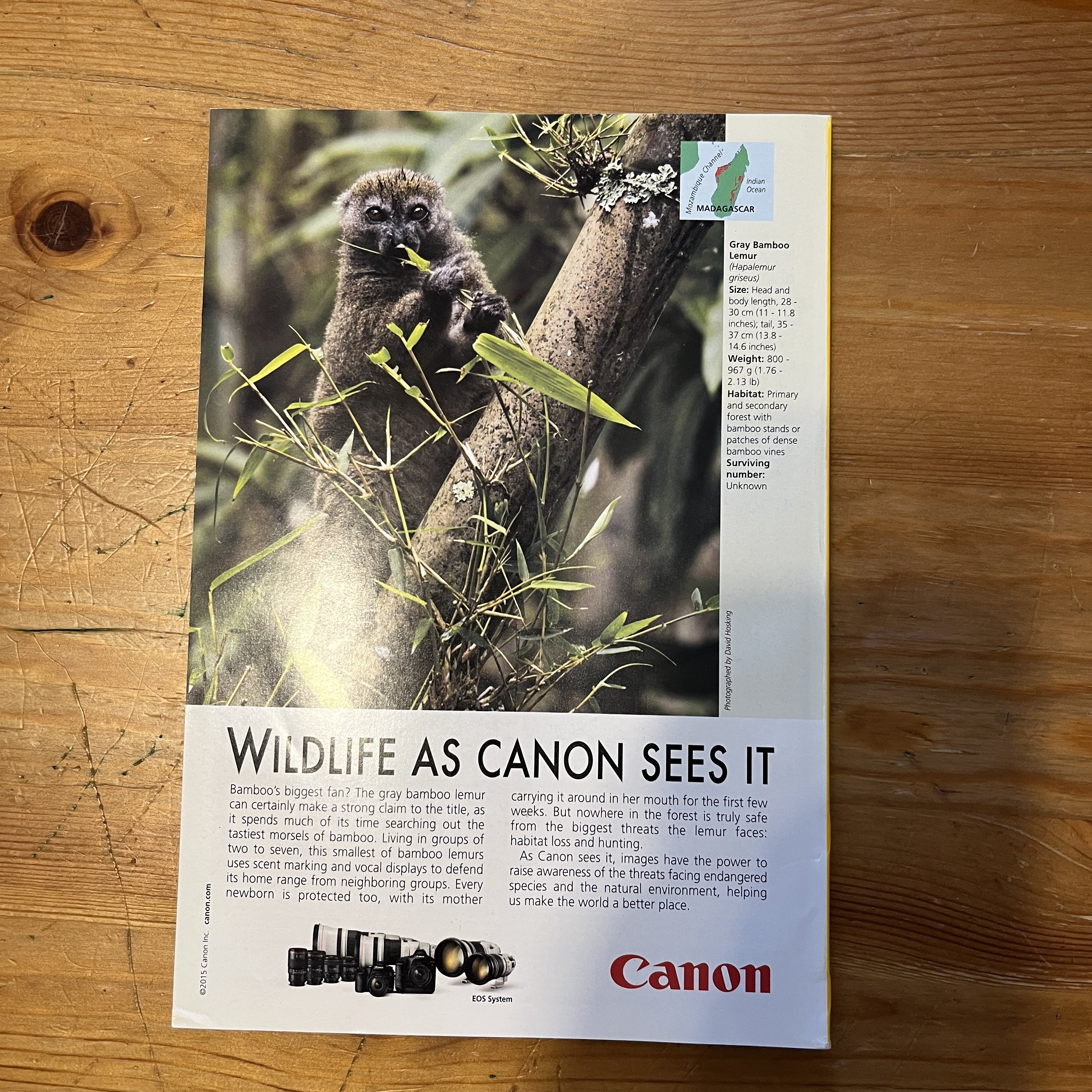 Magazine | September 2015 | Warlords of Ivory — image 5