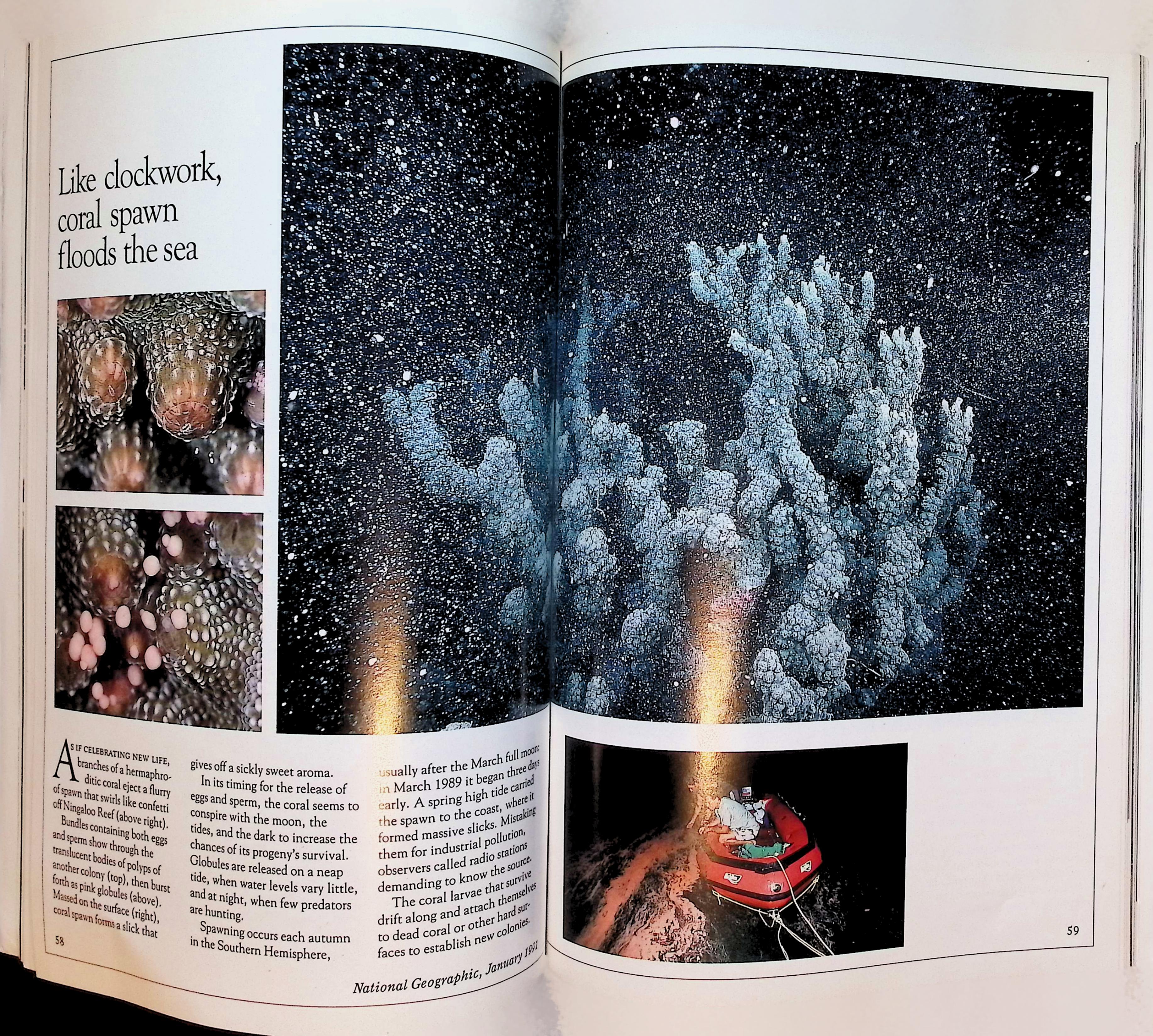 Magazine January 1991 | Northwest Australia — image 3