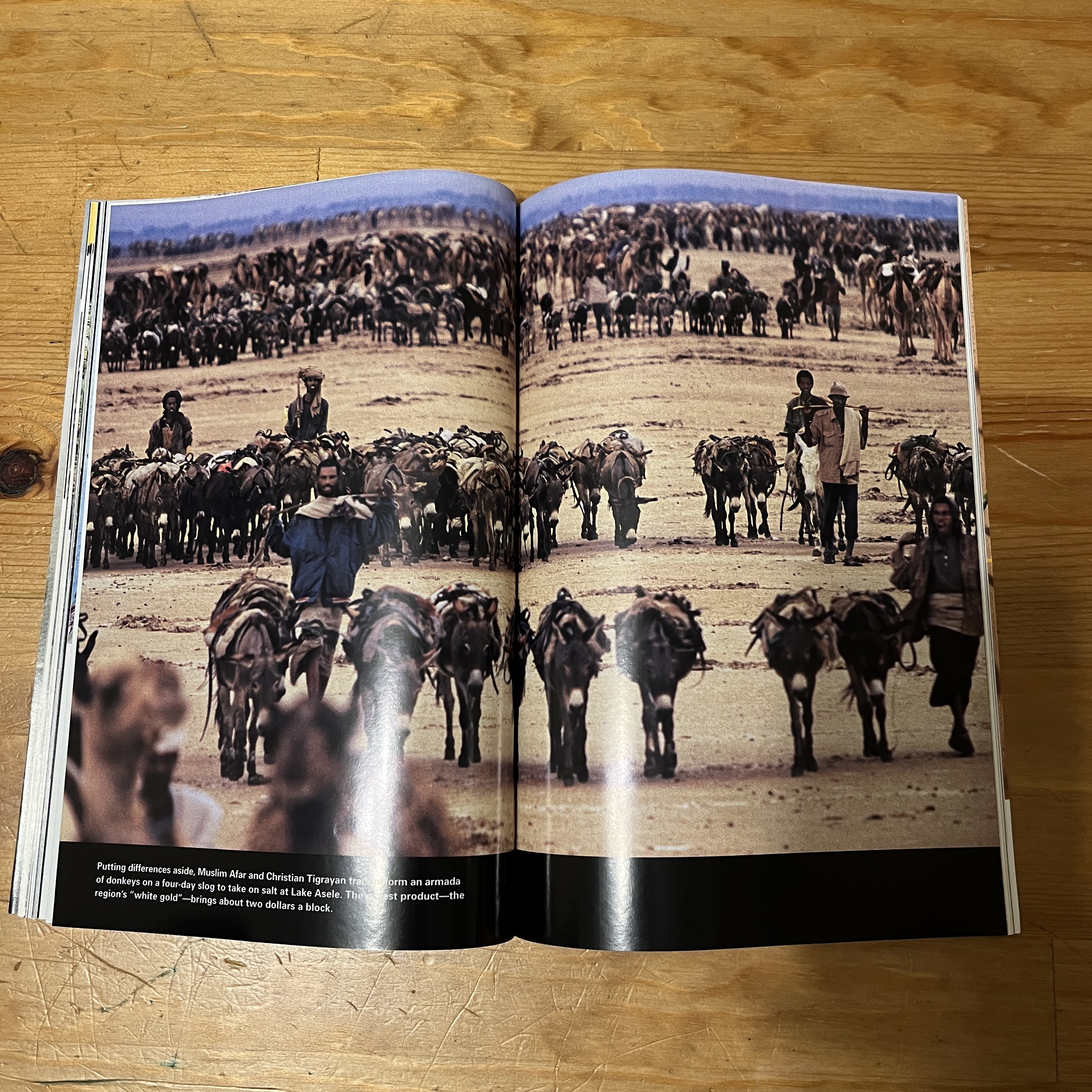 Magazine - October 2005 - The Next Killer Flu — image 3