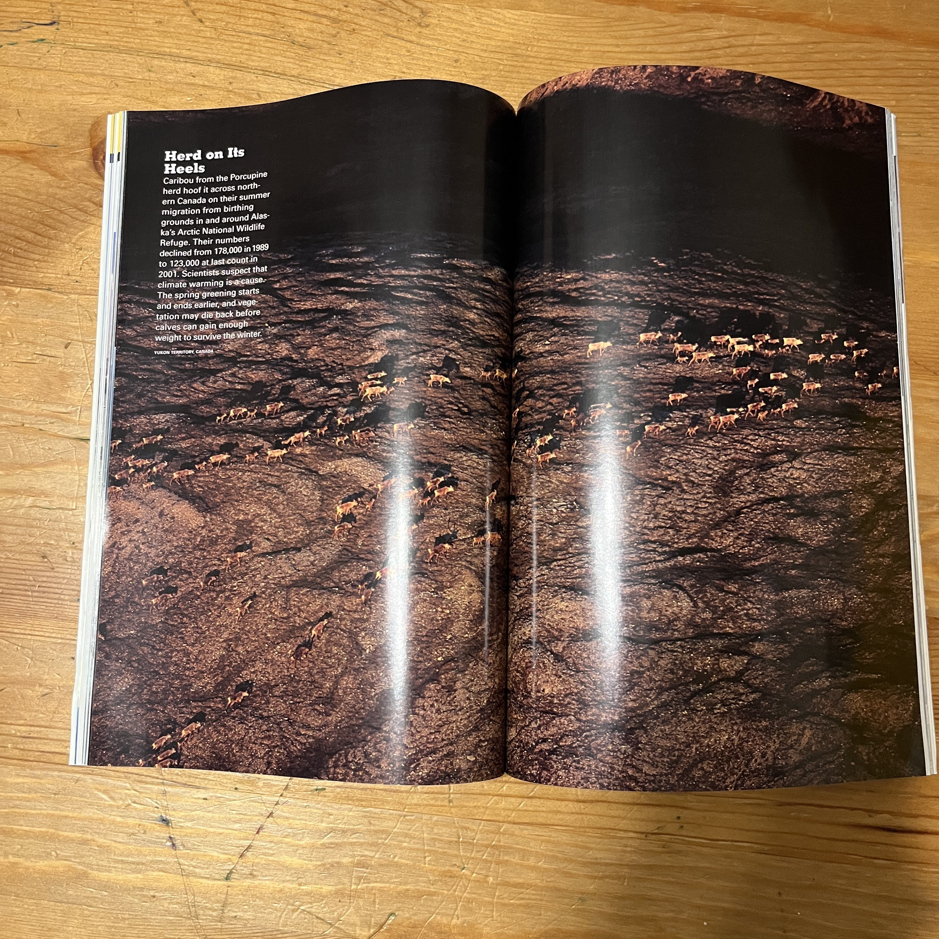 Magazine - Global Warming (September 2004) — image 4