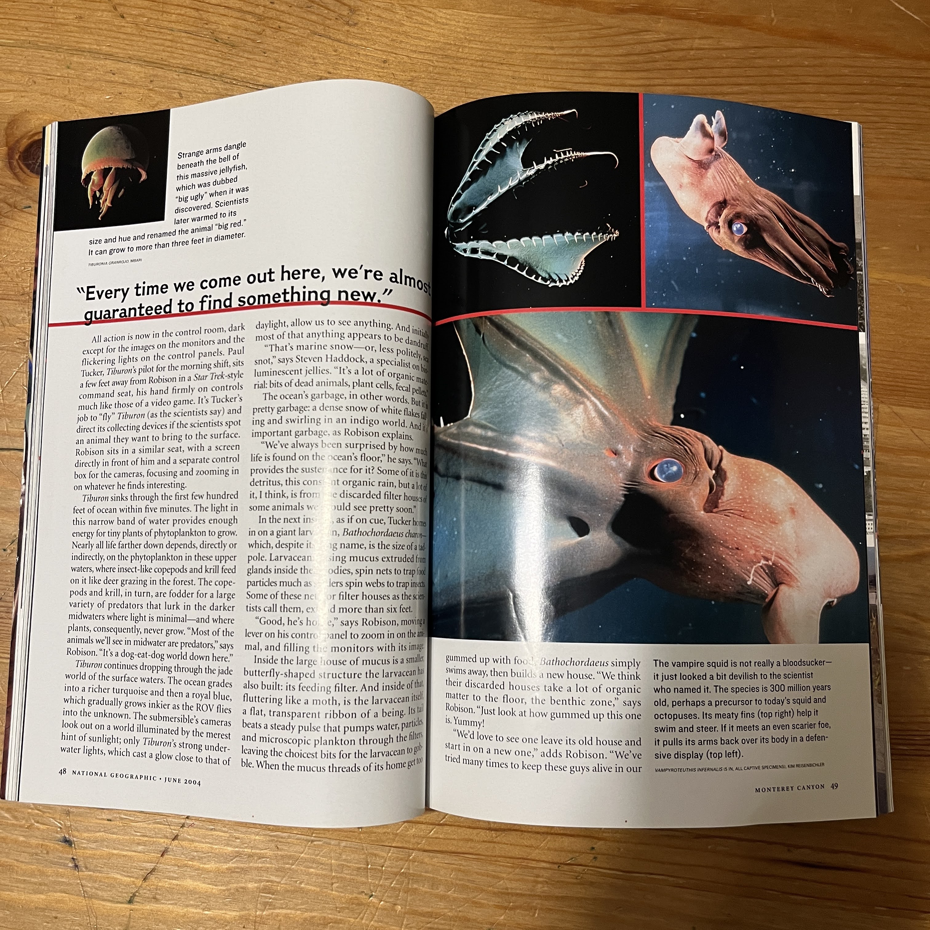 Magazine, June 2004 - The End of Cheap Oil — image 3