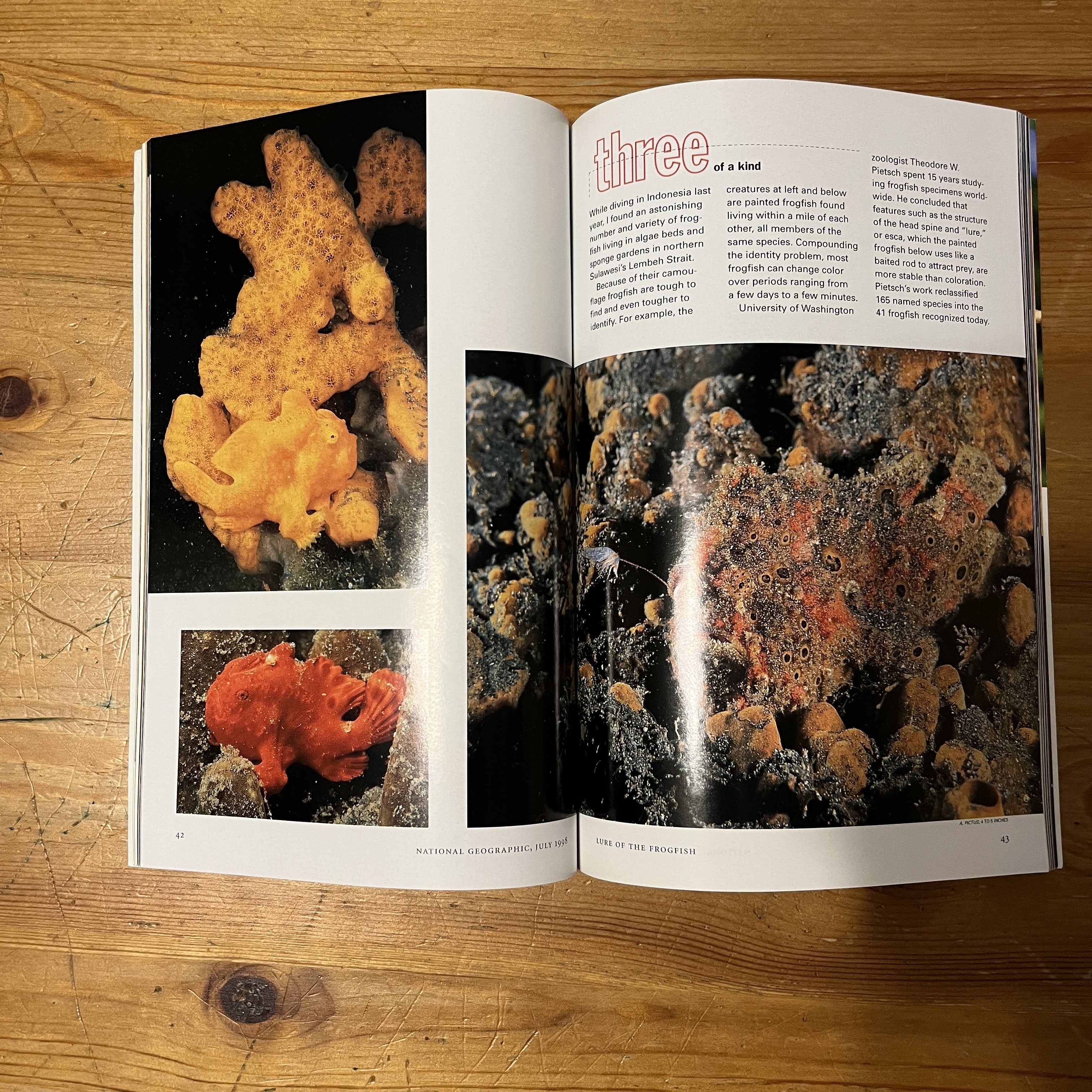 Magazine | July 1998 | Dinosaurs Take Wing — image 2