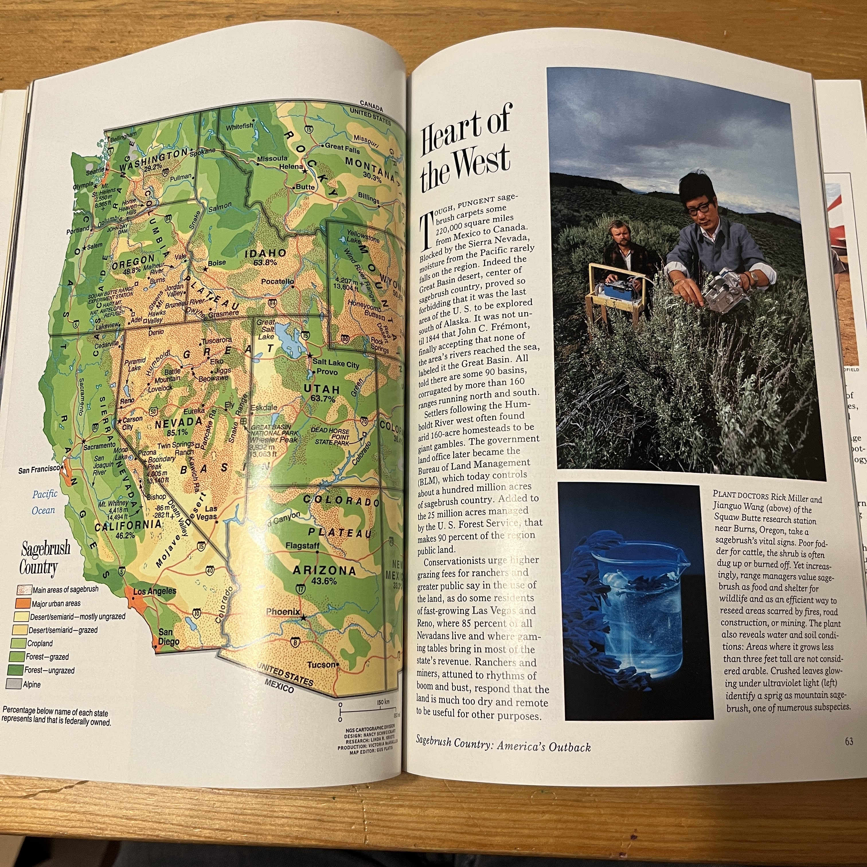 Magazine - January 1989, Ballet with Stingrays — image 2