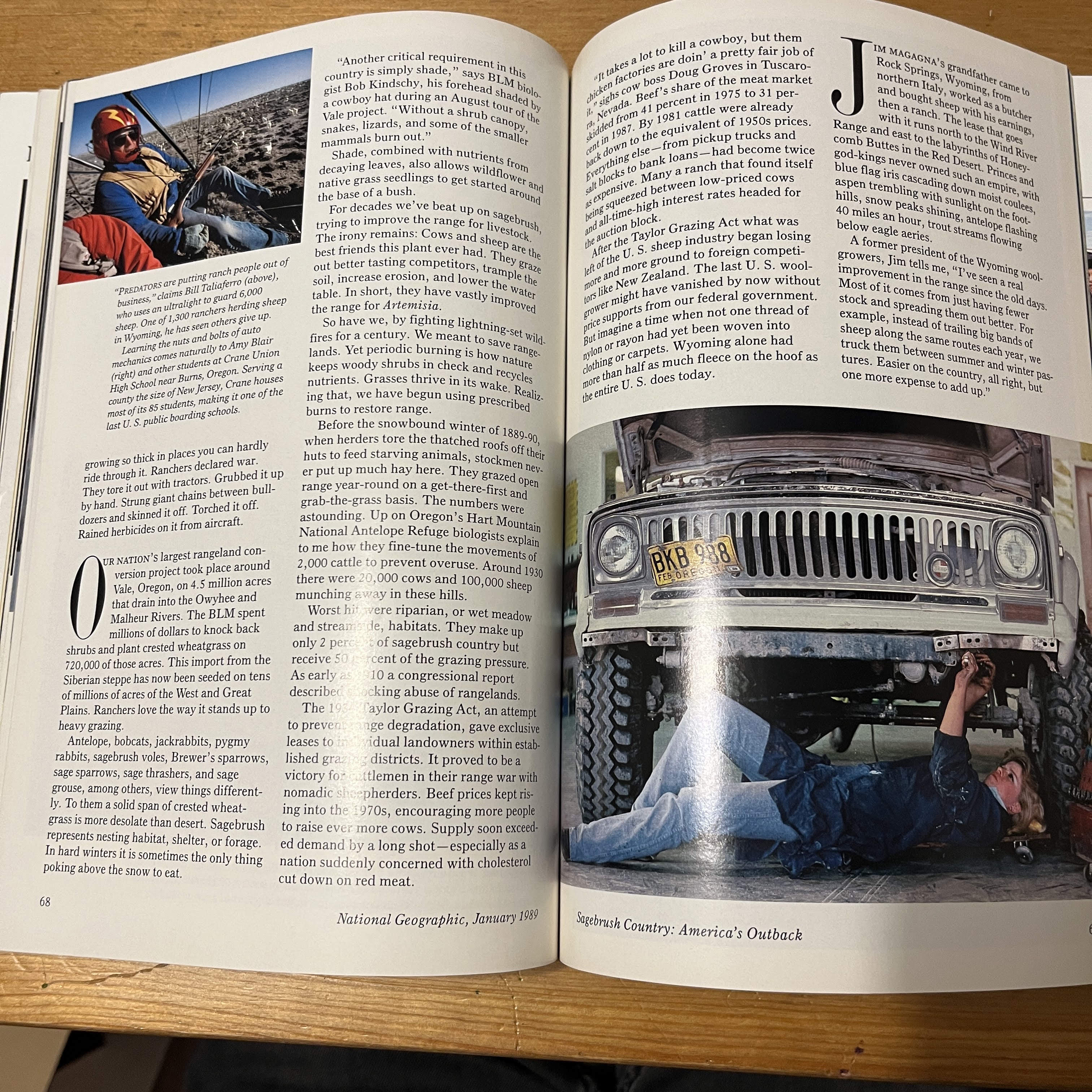 Magazine - January 1989, Ballet with Stingrays — image 3