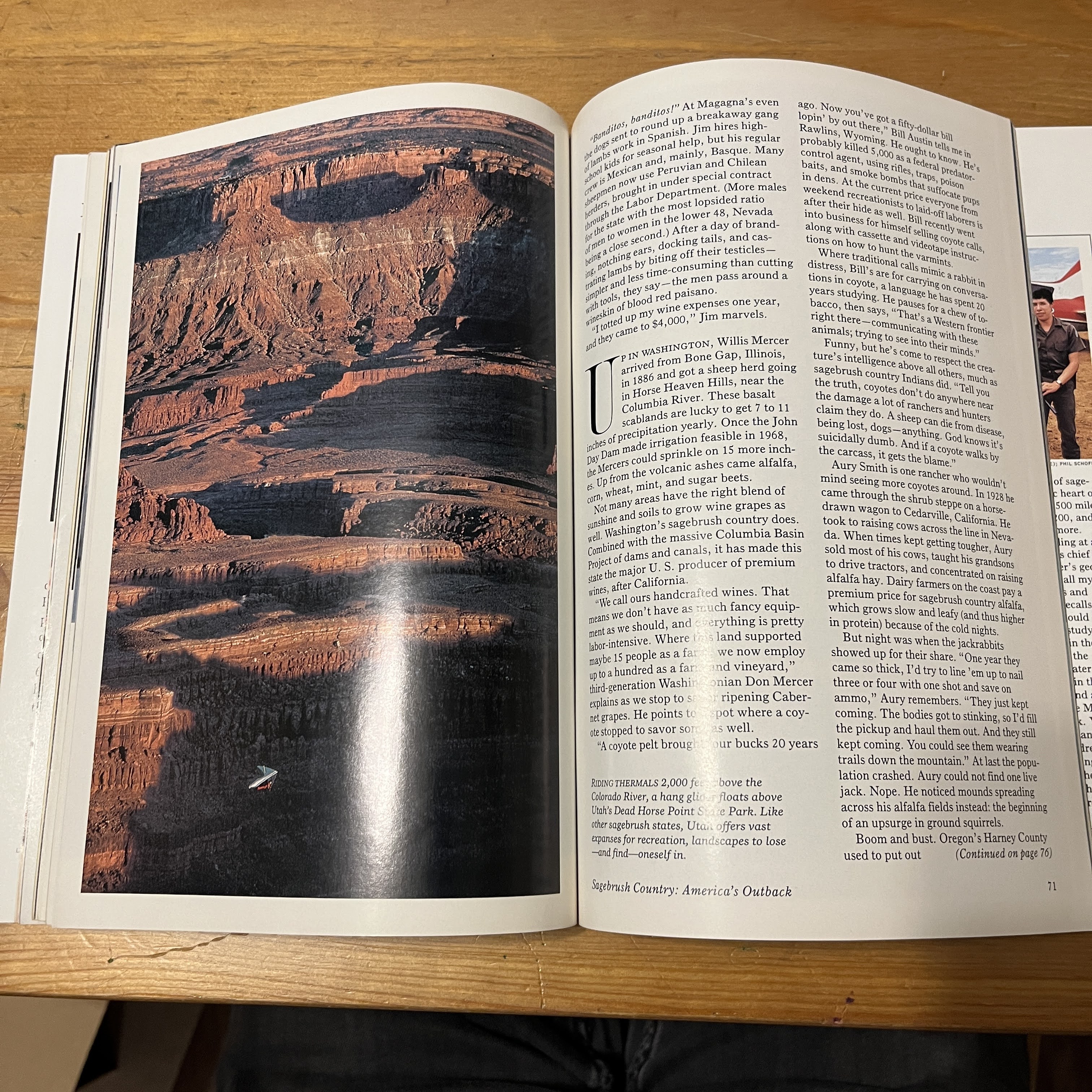 Magazine - January 1989, Ballet with Stingrays — image 4