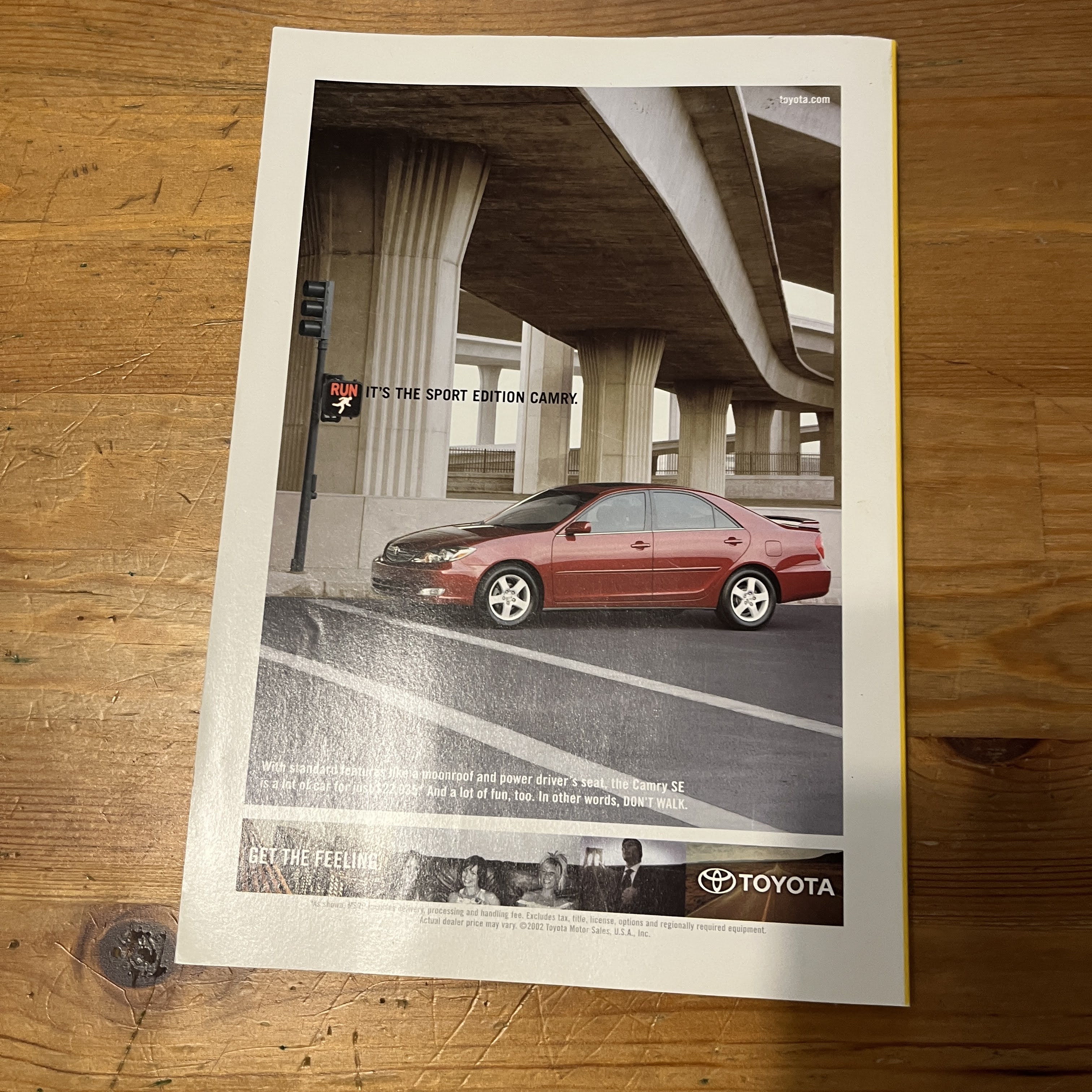 April 2003 - The Rise of Mammals — image 5