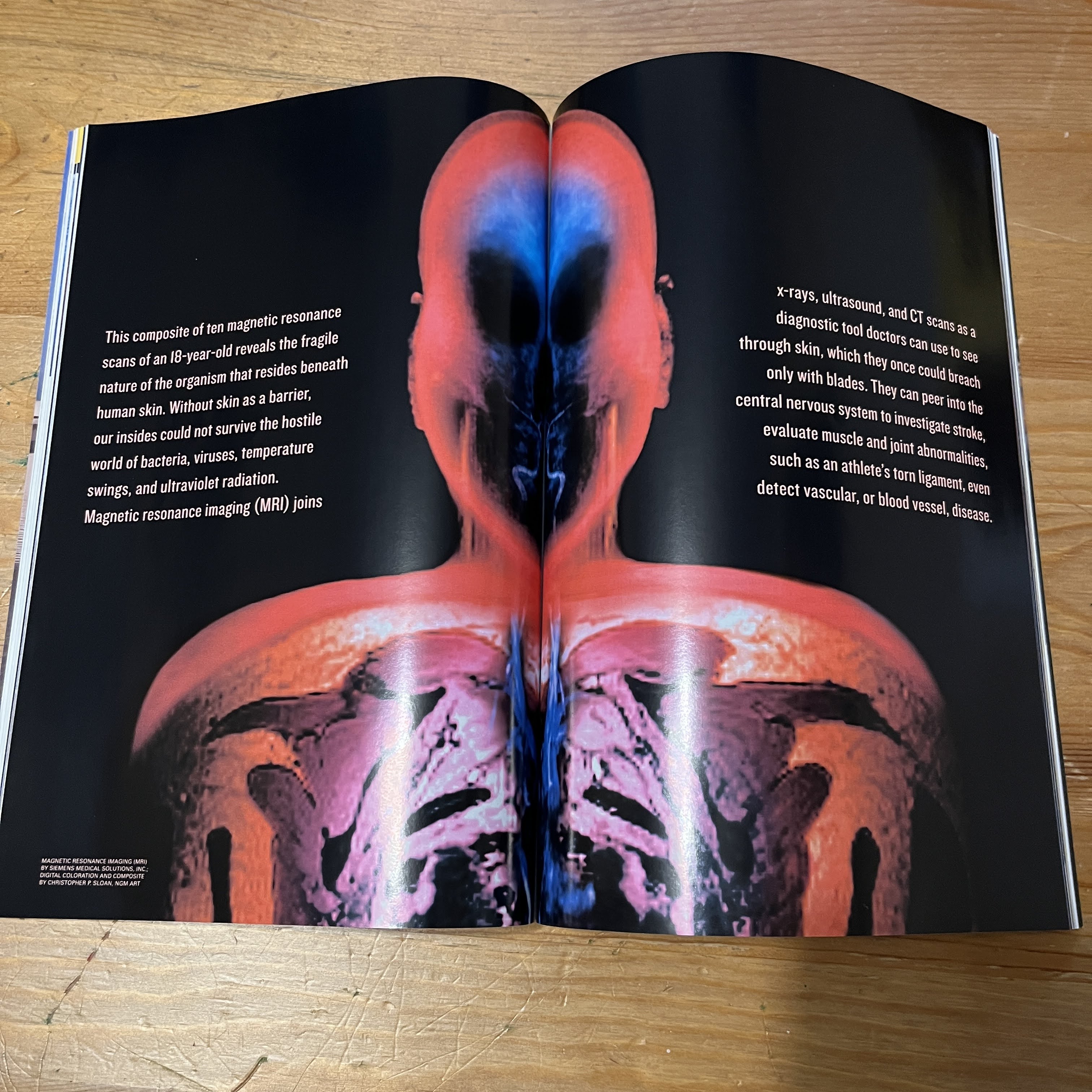 Magazine - November 2002 - Unmasking Skin — image 2