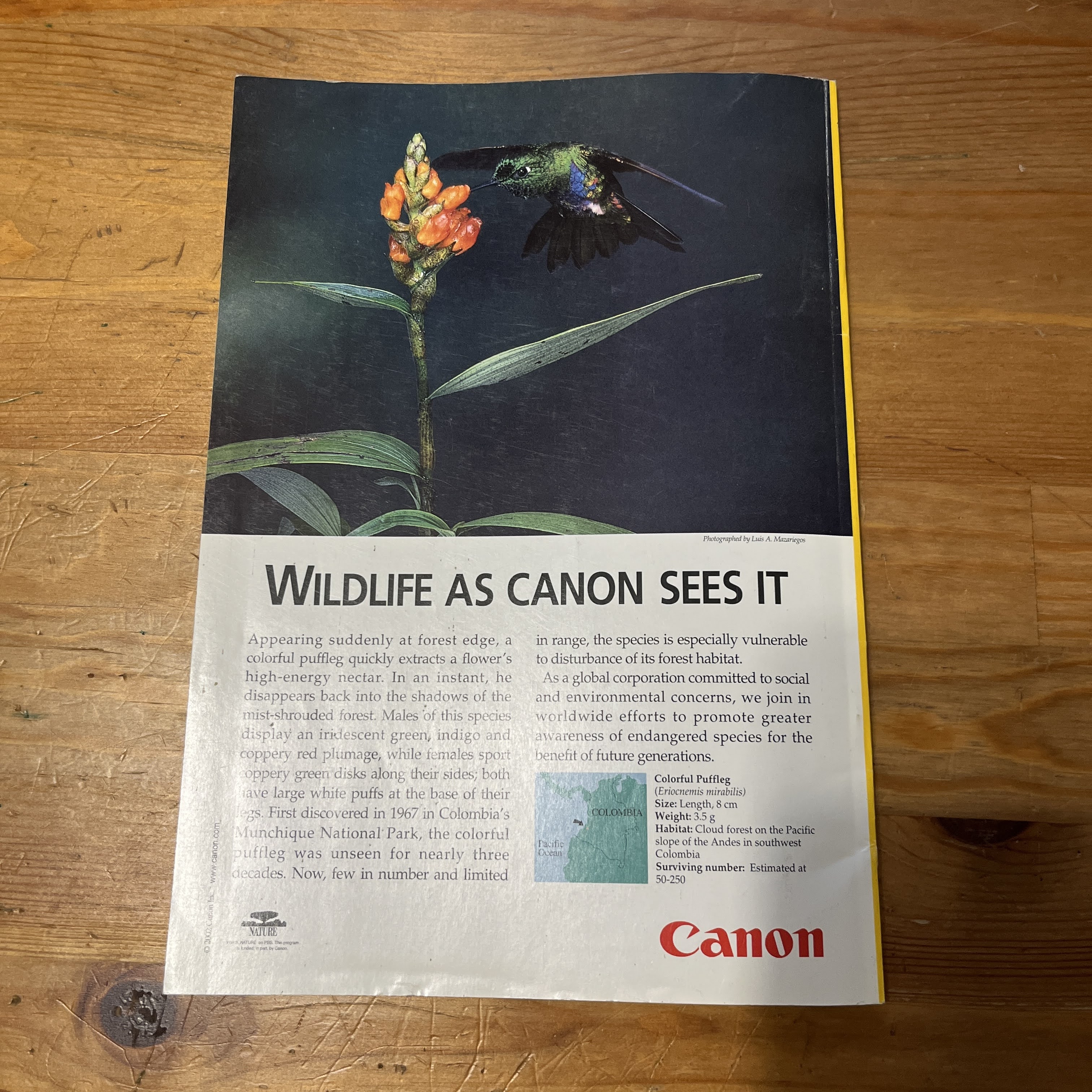 Magazine - January 2002 - Evolution of Dogs — image 5