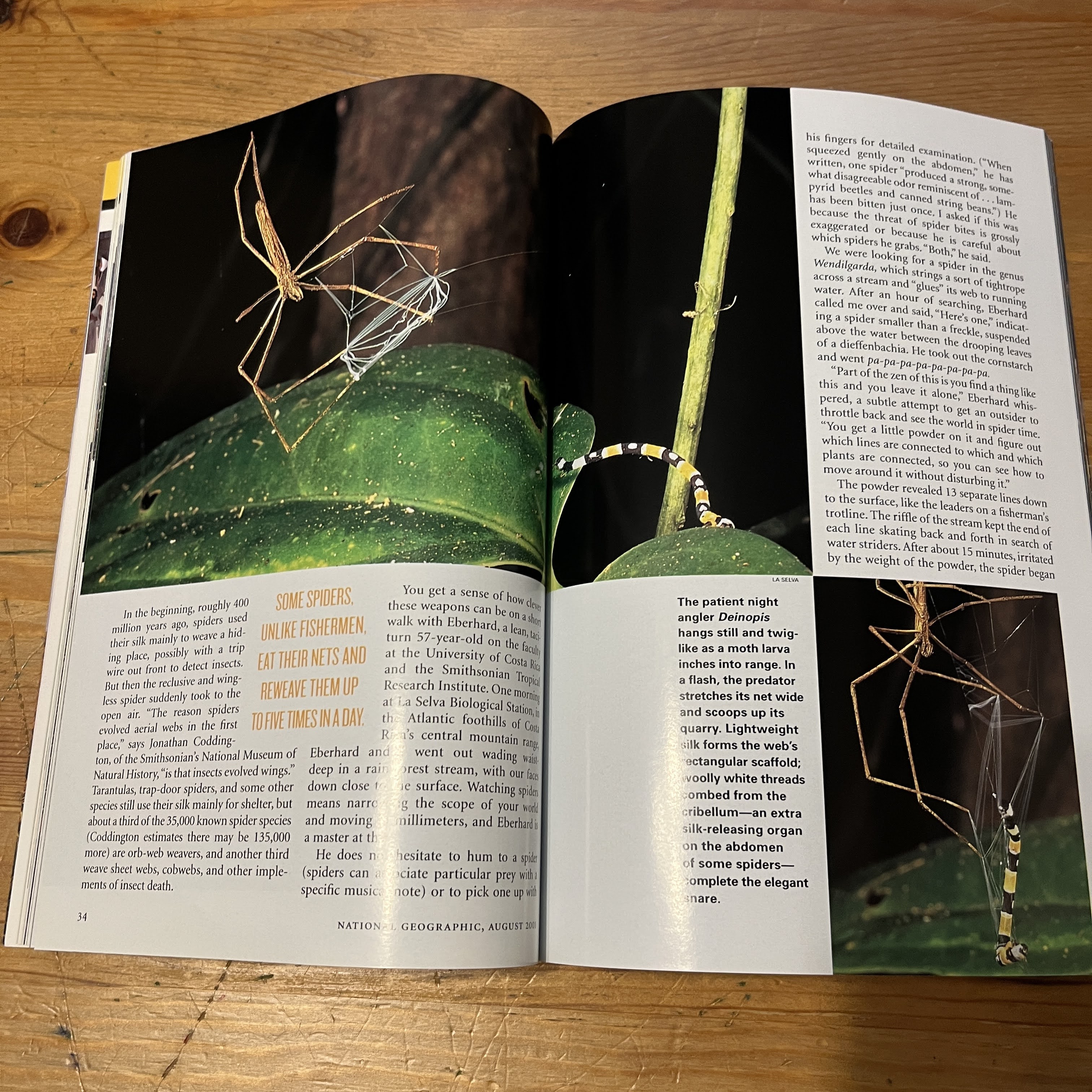 August 2001 - Public Lands Are Going Public — image 3