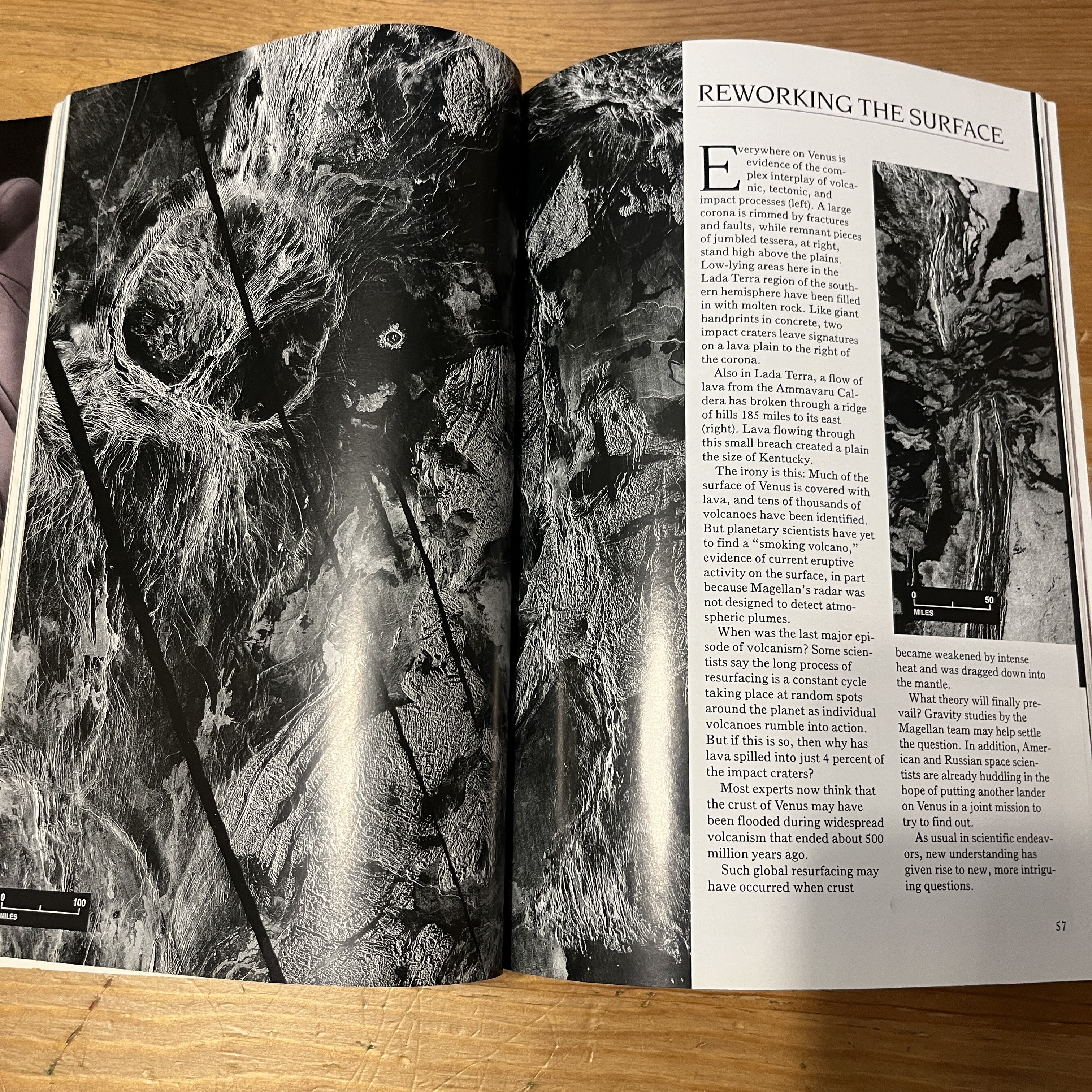 Magazine - February 1993 | Newborn Panda in the Wild — image 3