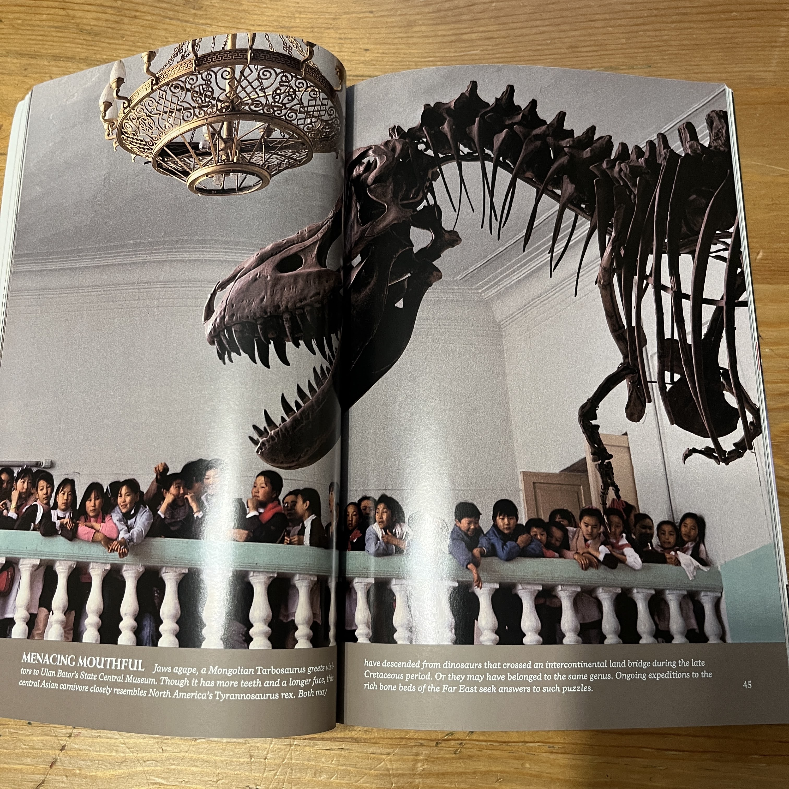Magazine - January 1993 (Dinosaurs) — image 2