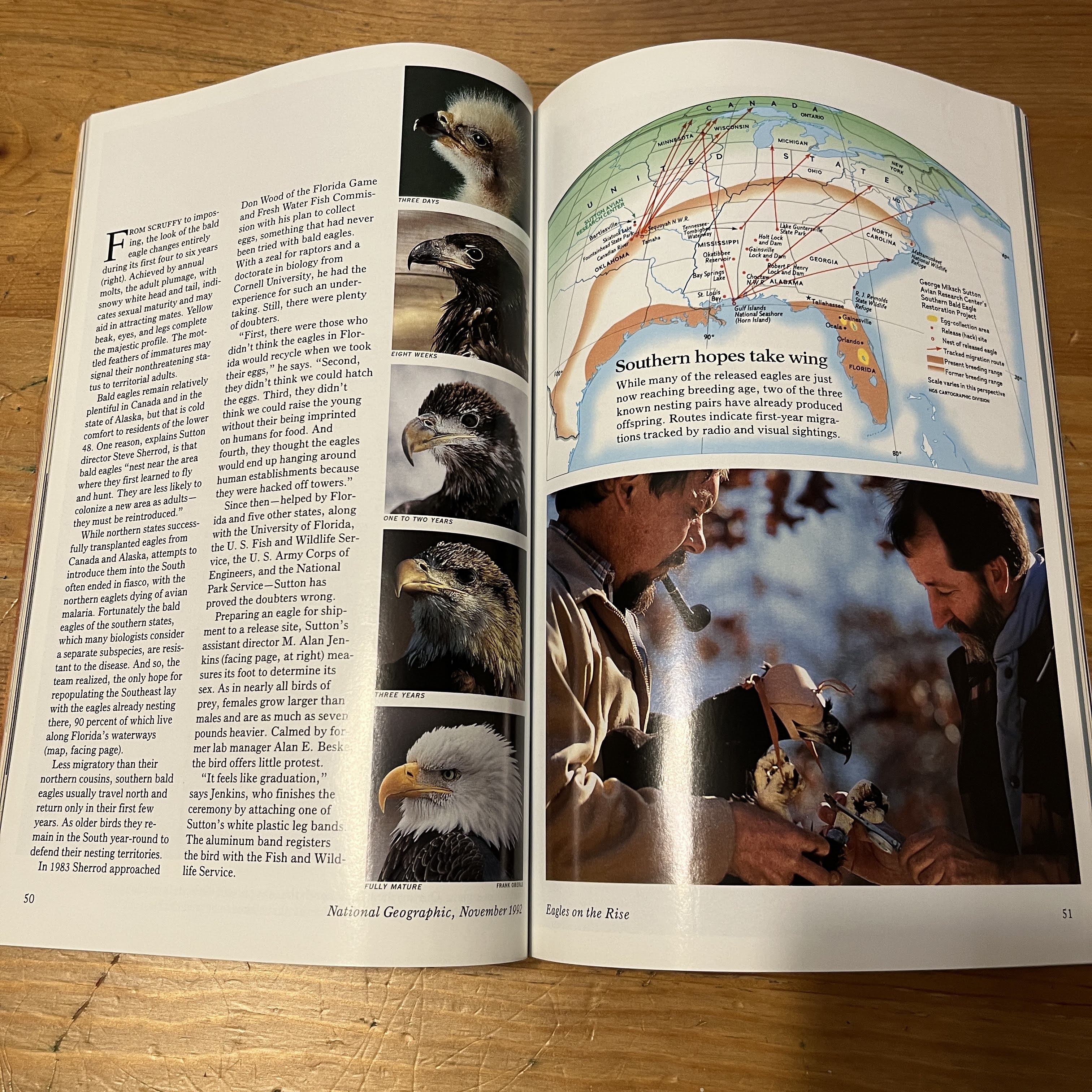 National Geographic - November 1992 - The Sense of Sight — image 3