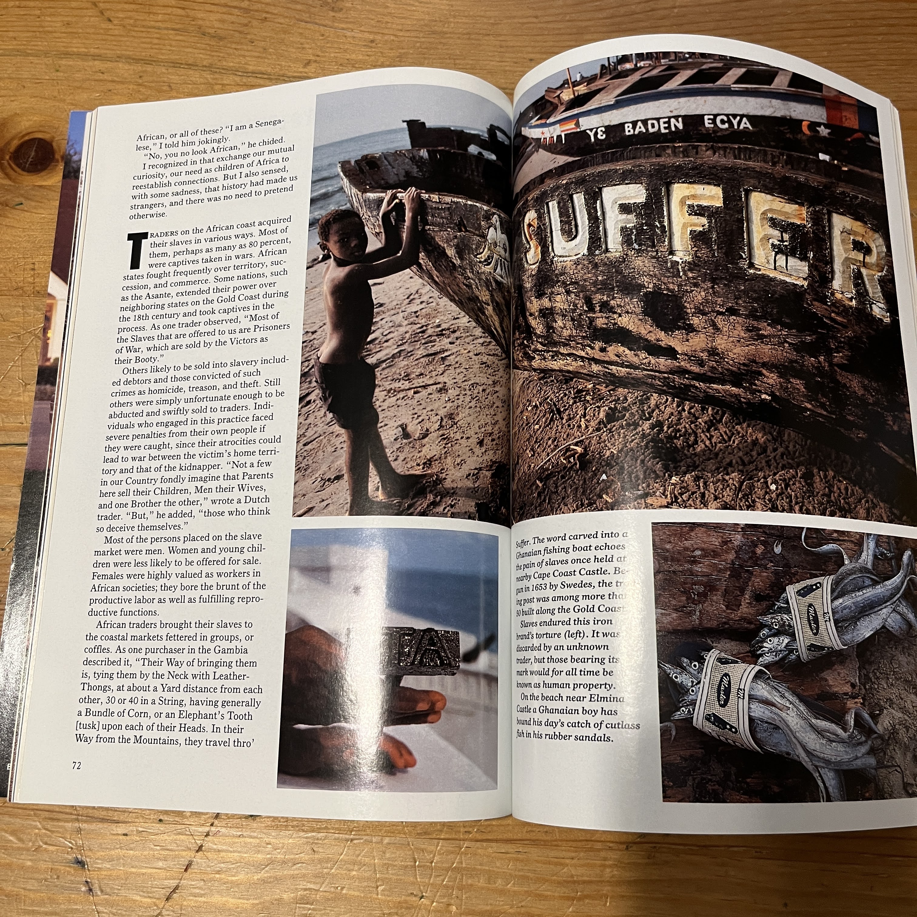 September 1992, Dolphins in Crisis — image 4