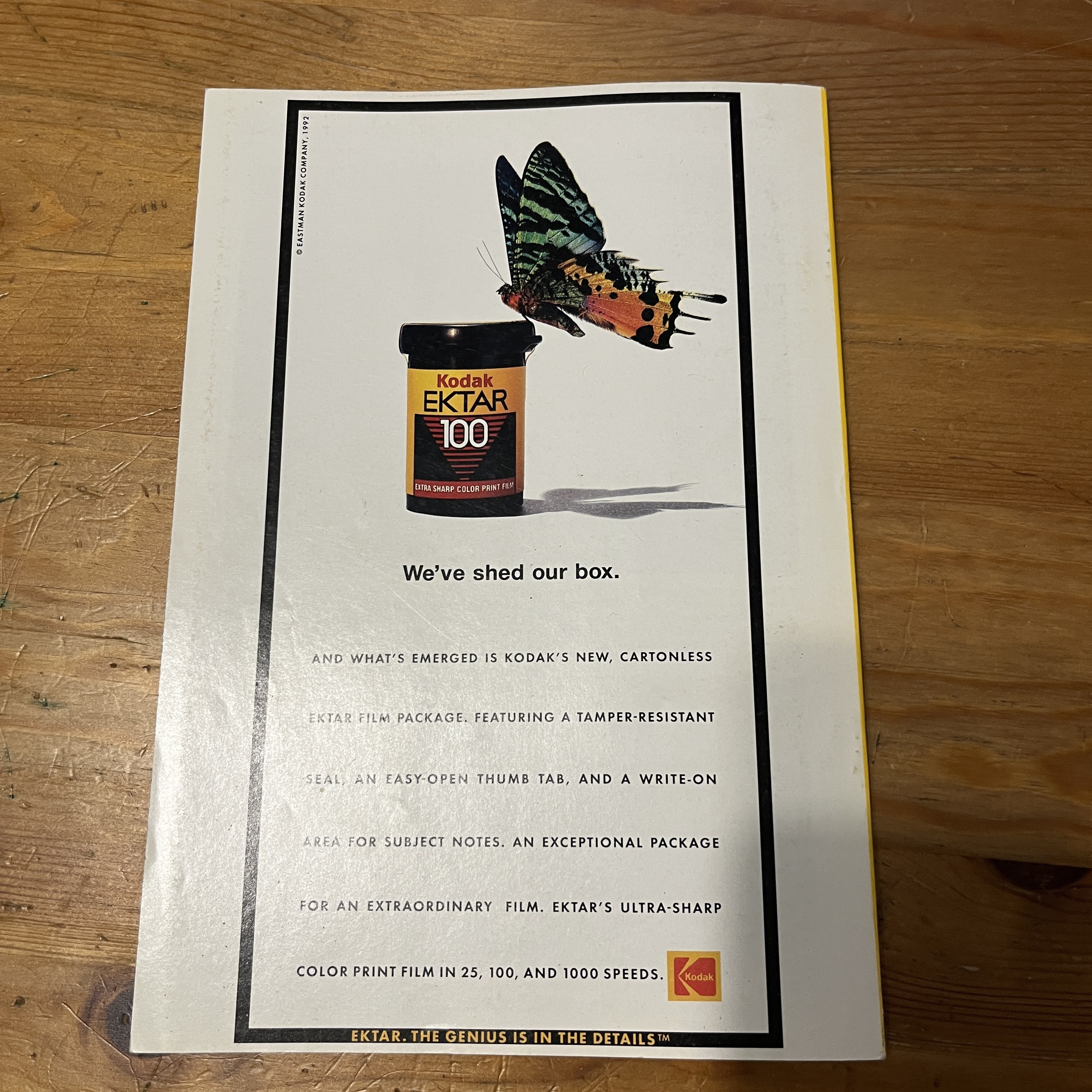 September 1992, Dolphins in Crisis — image 5