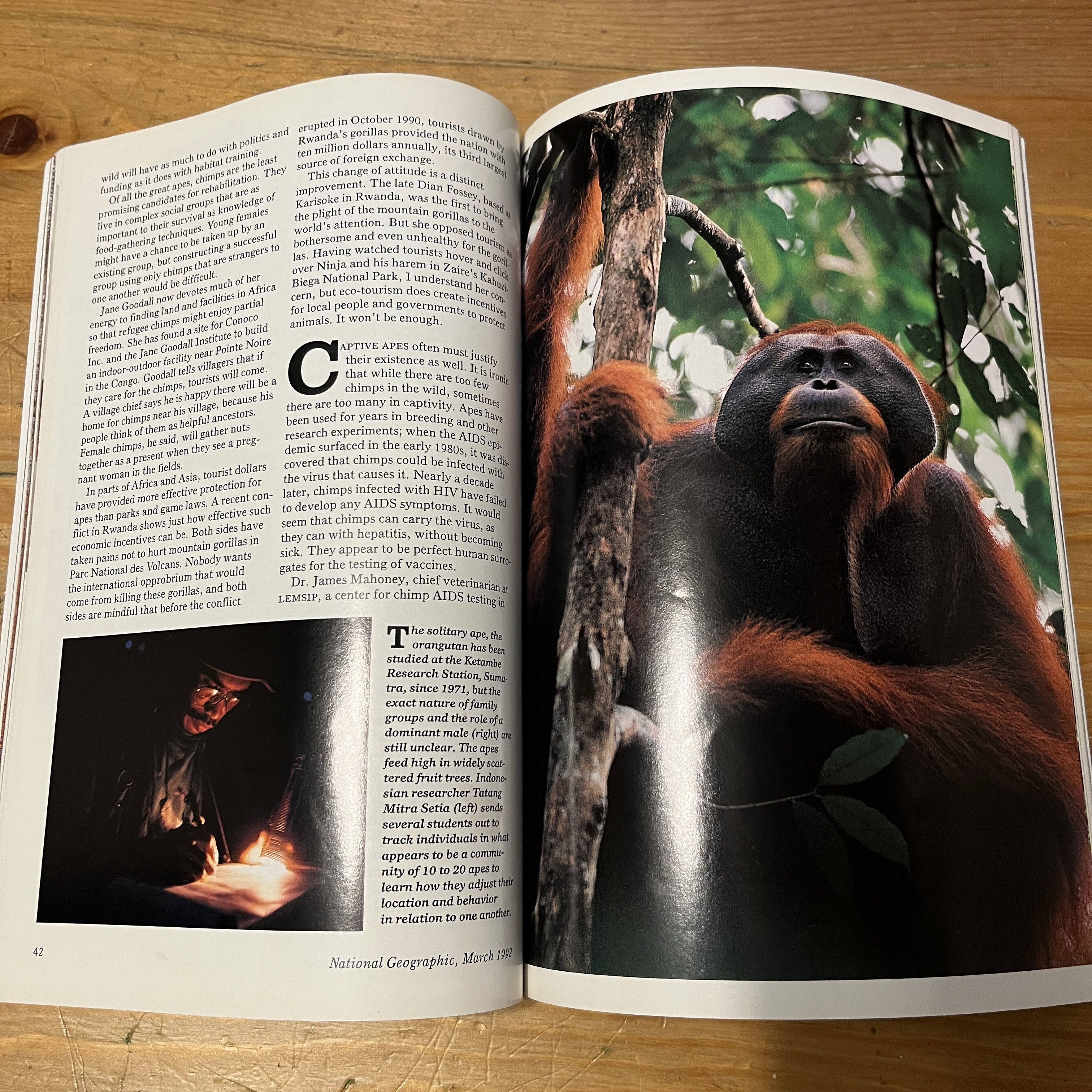 Magazine - March 1992 - Apes and Humans — image 3